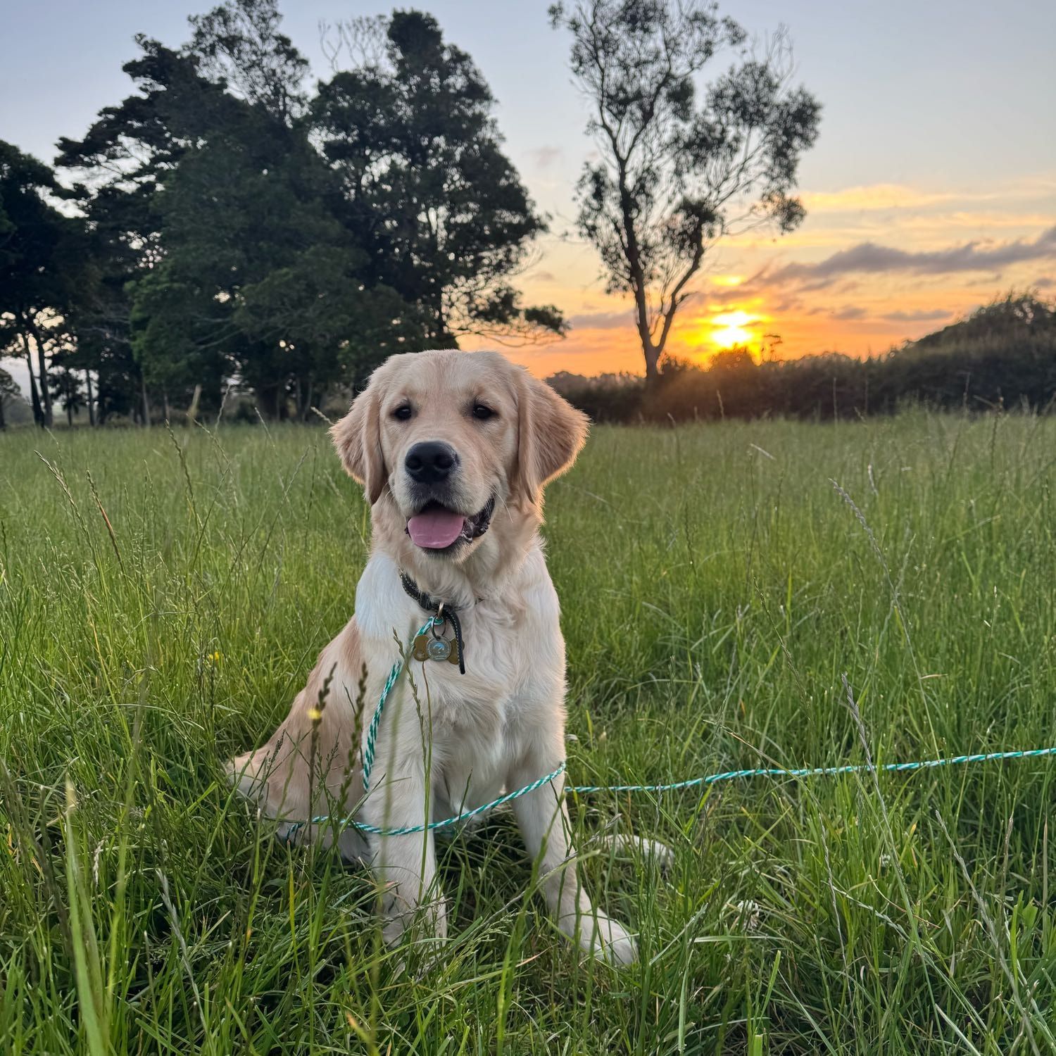 Cooper