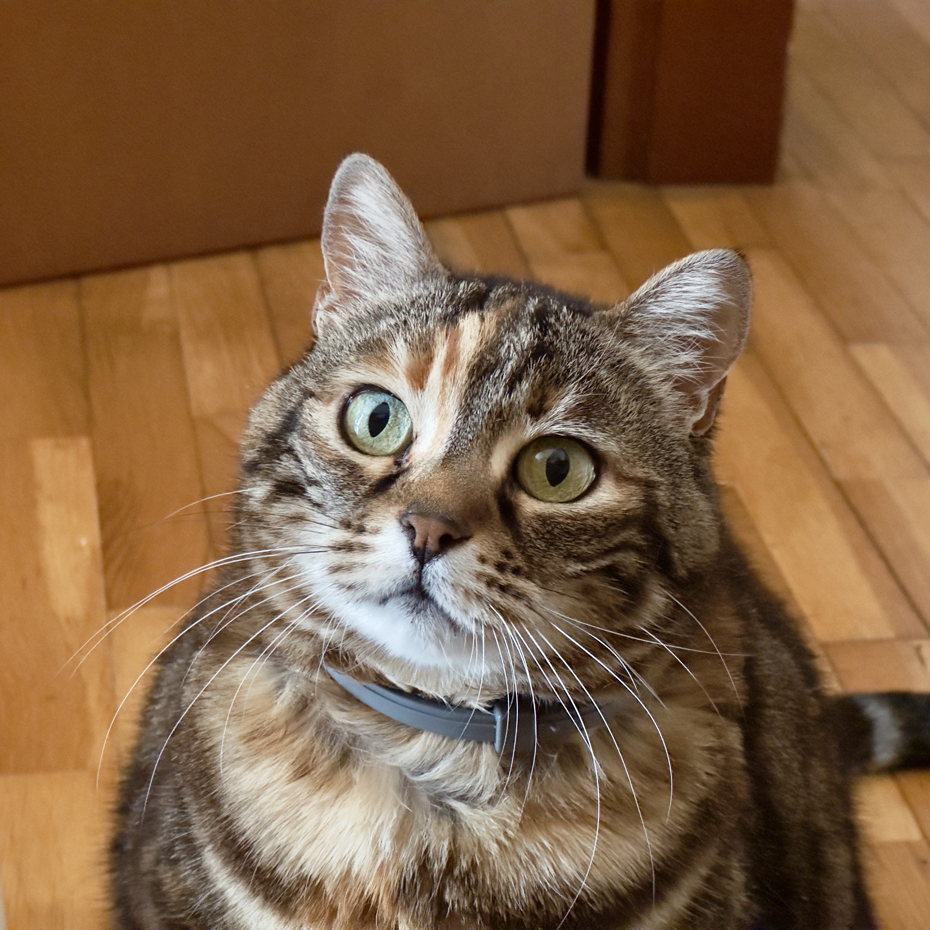 Kira