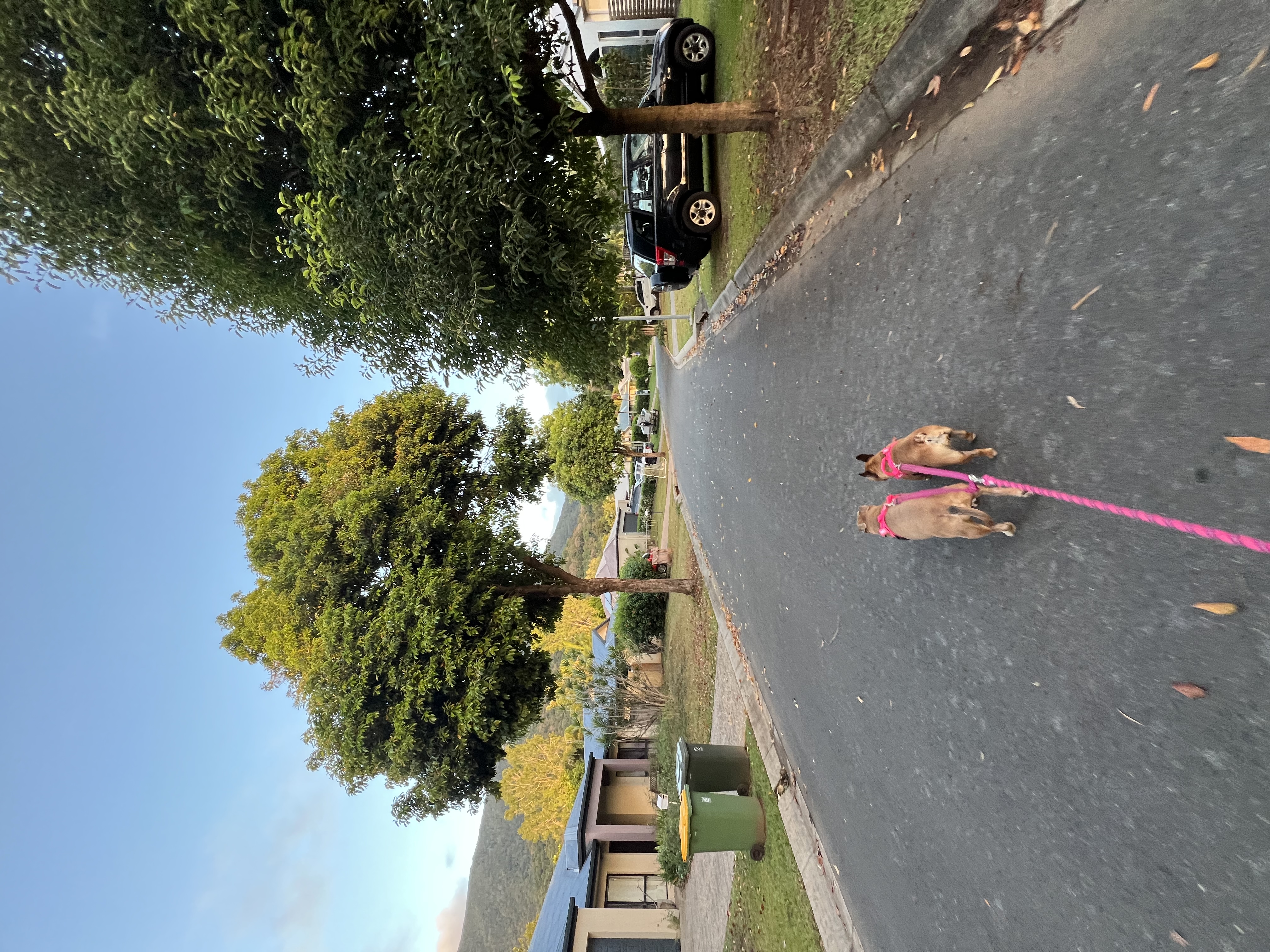 image-4