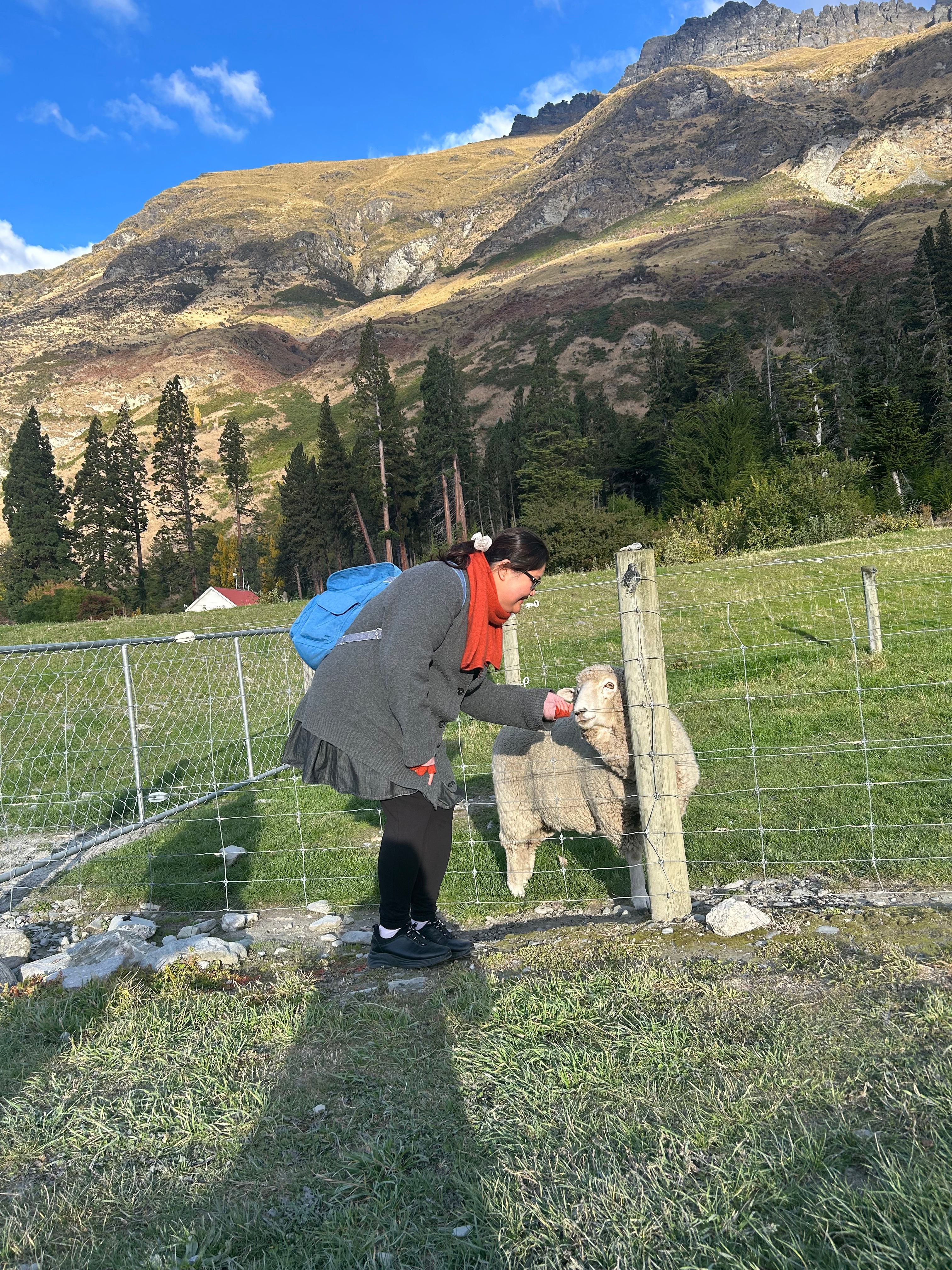 image-13