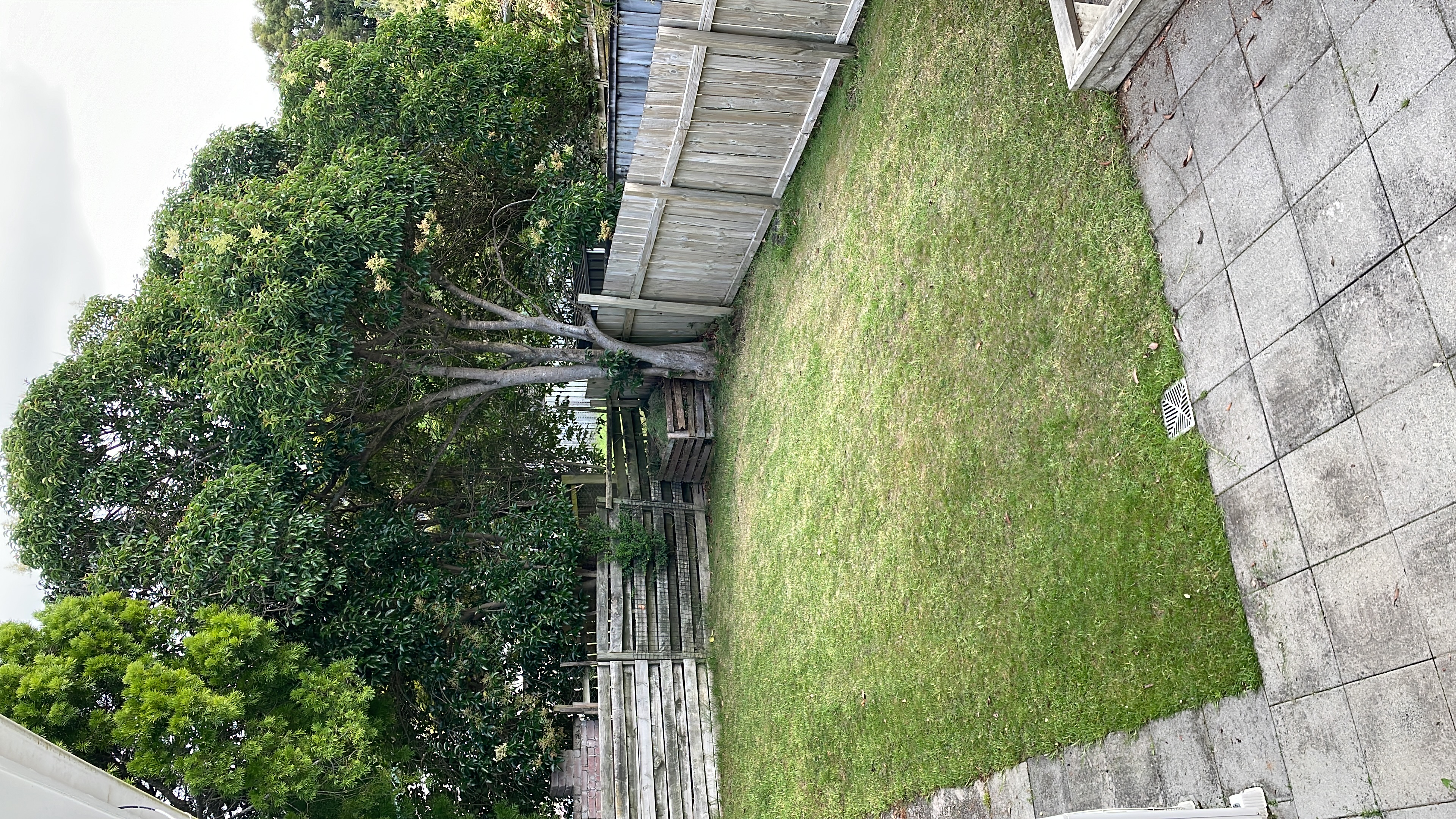 image-20