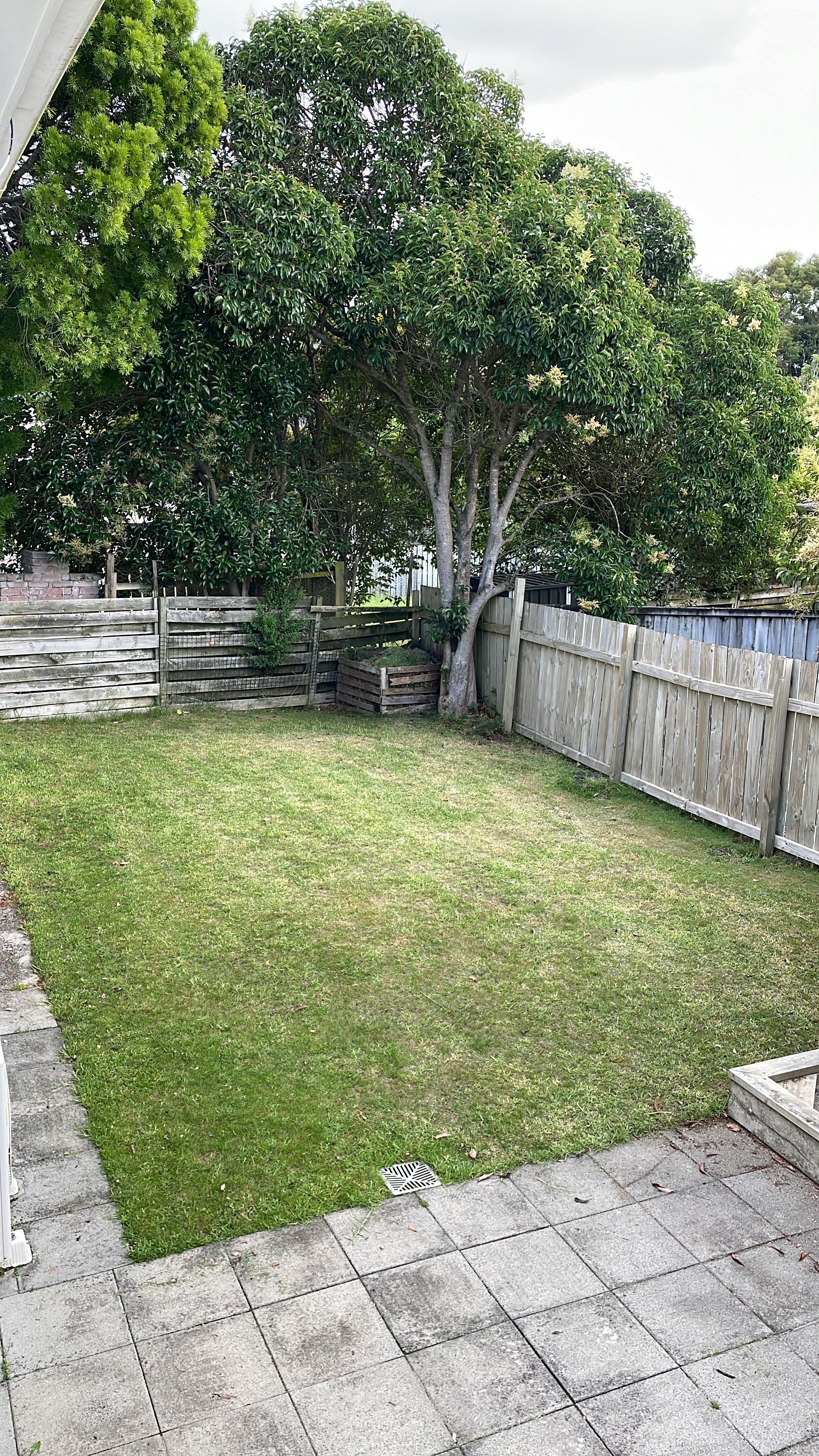 image-20