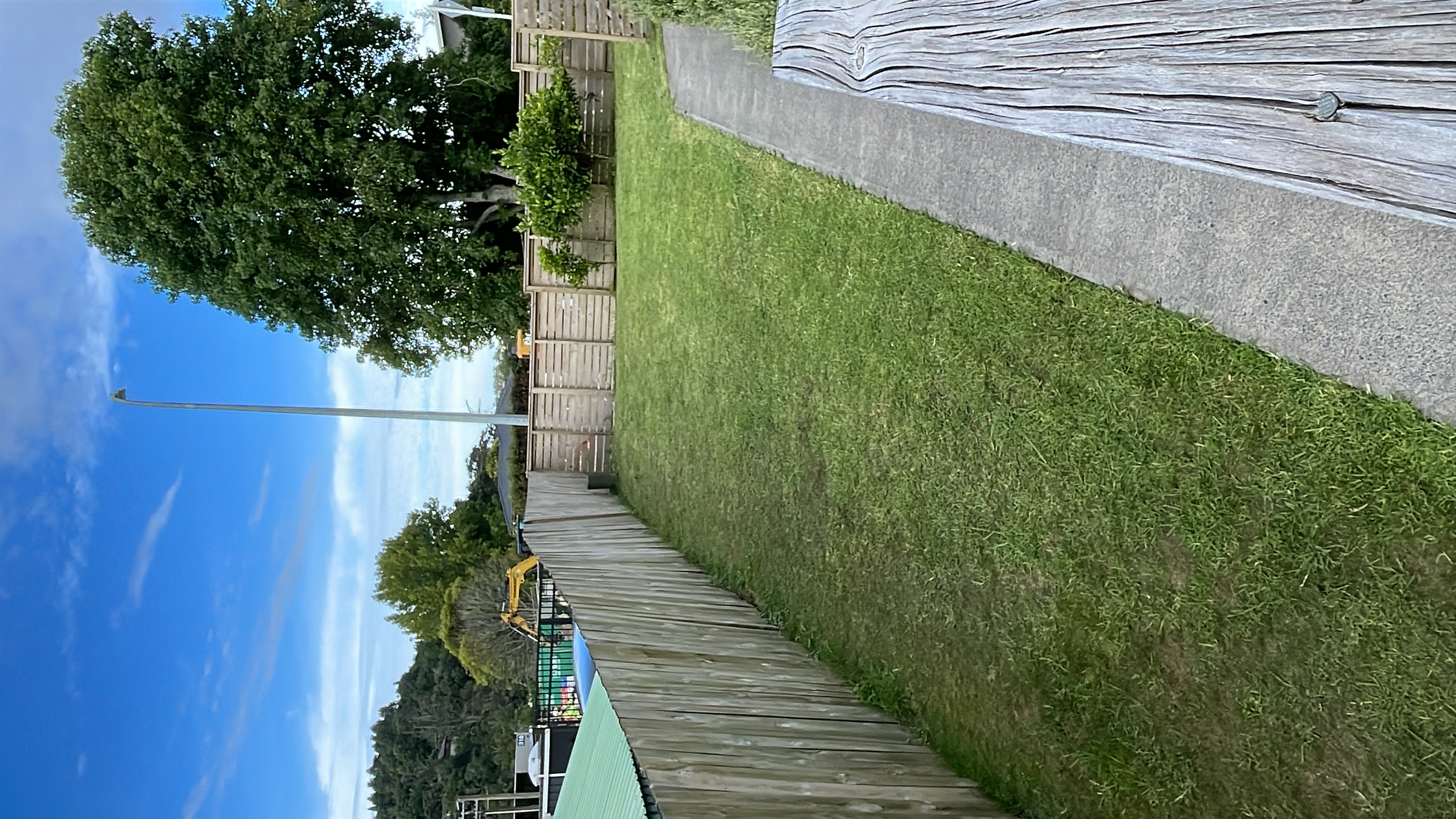 image-19