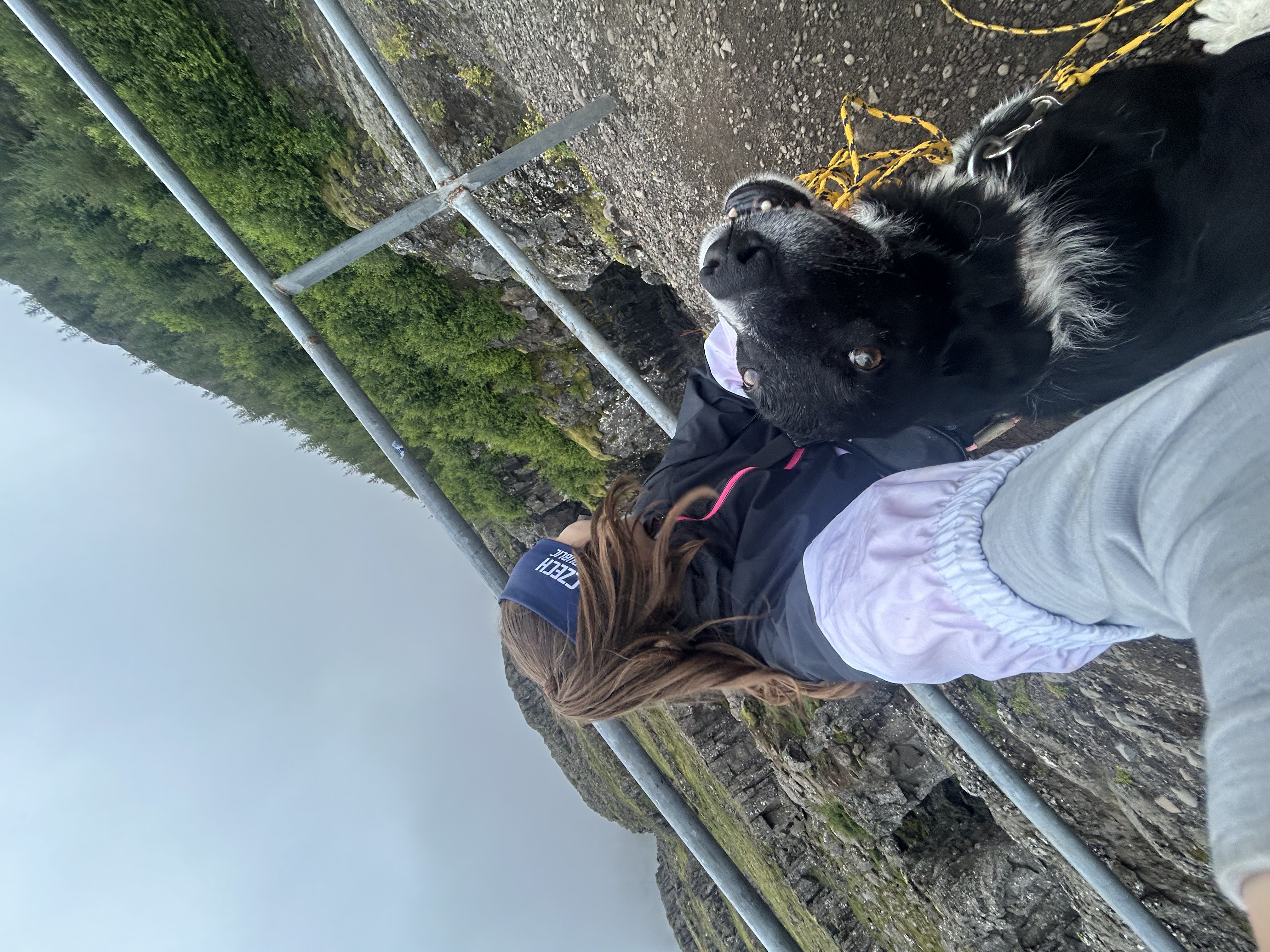 image-7
