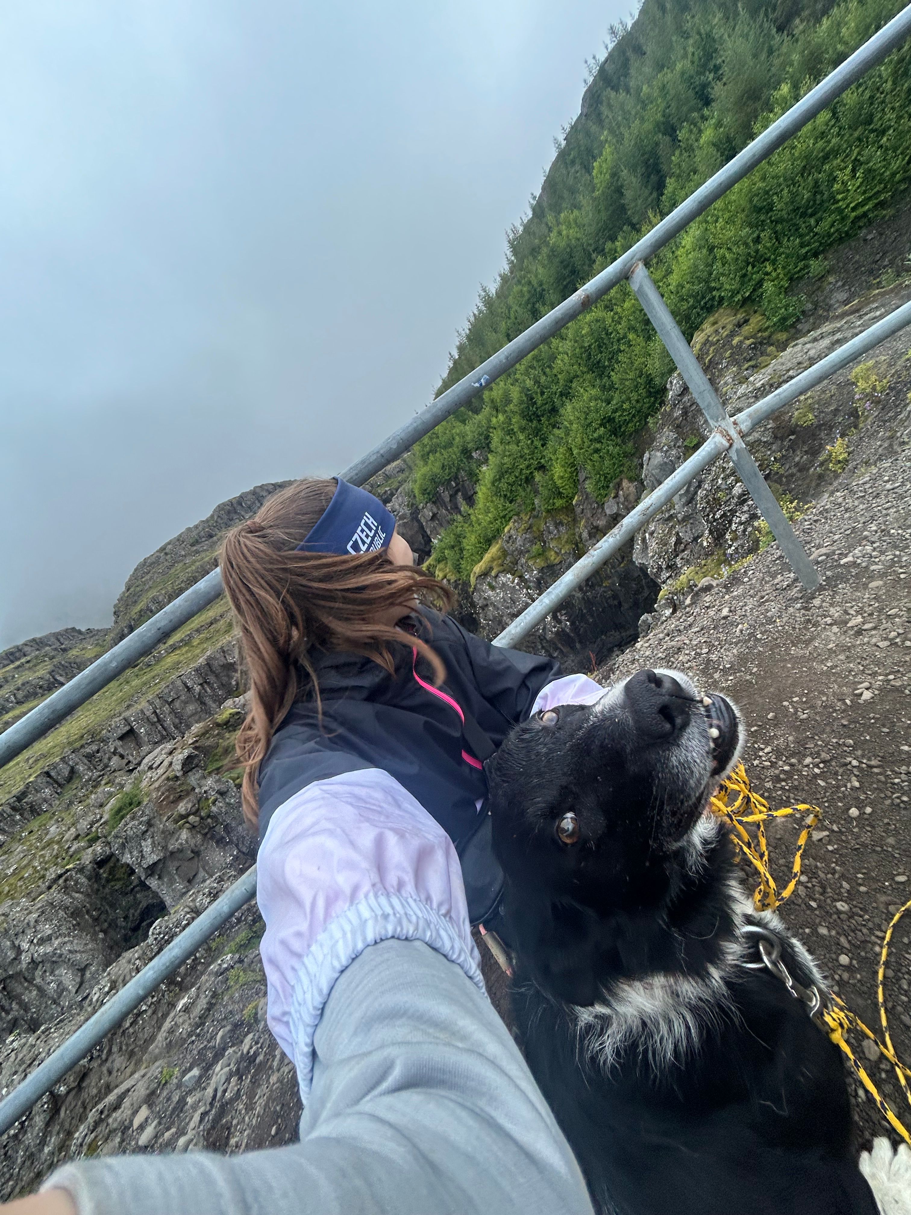 image-7