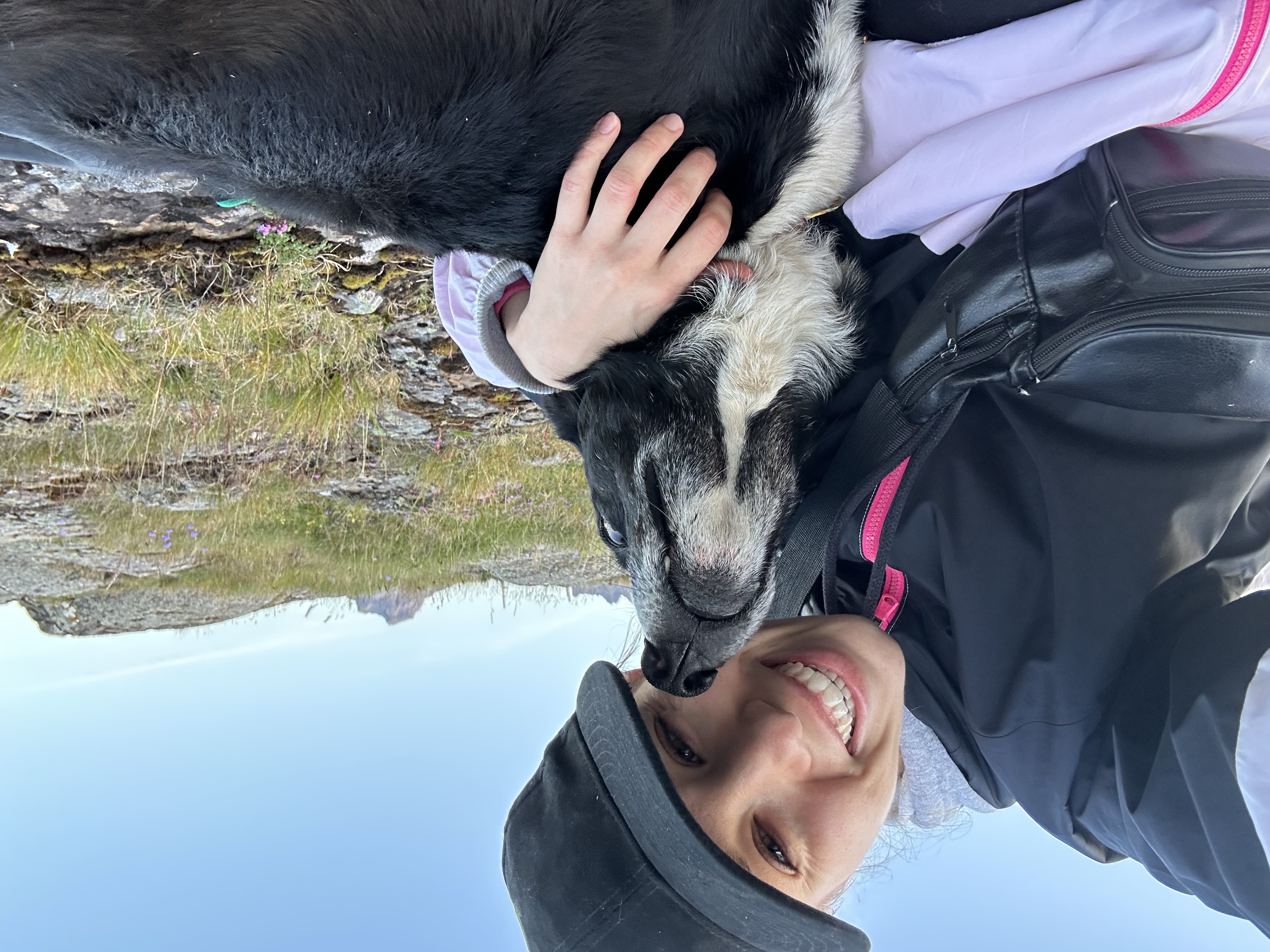 image-6