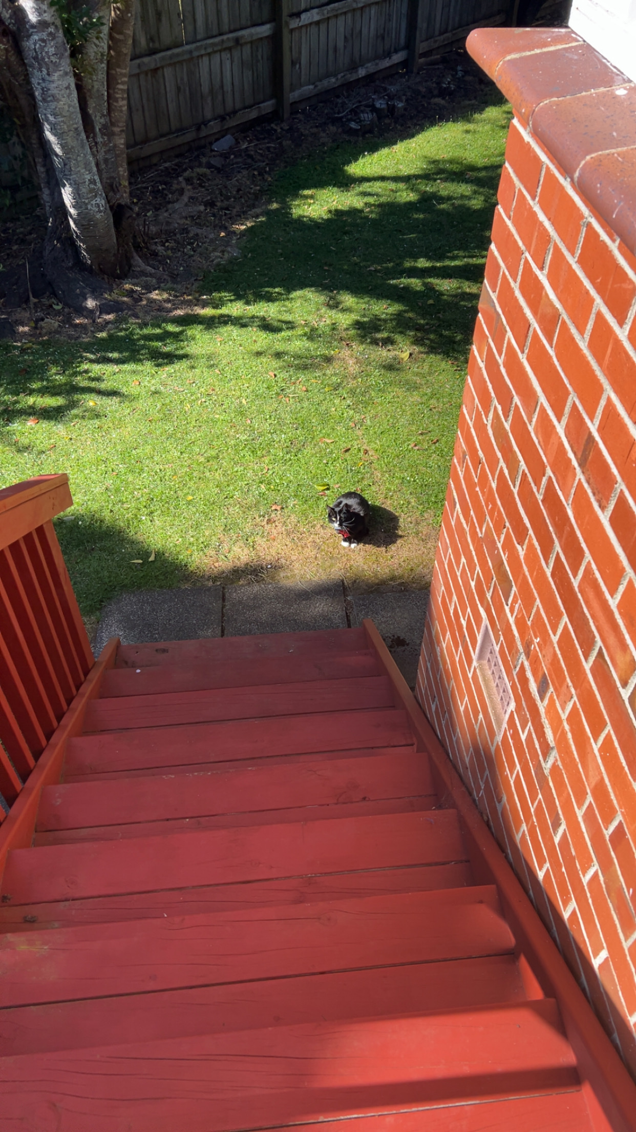 image-15
