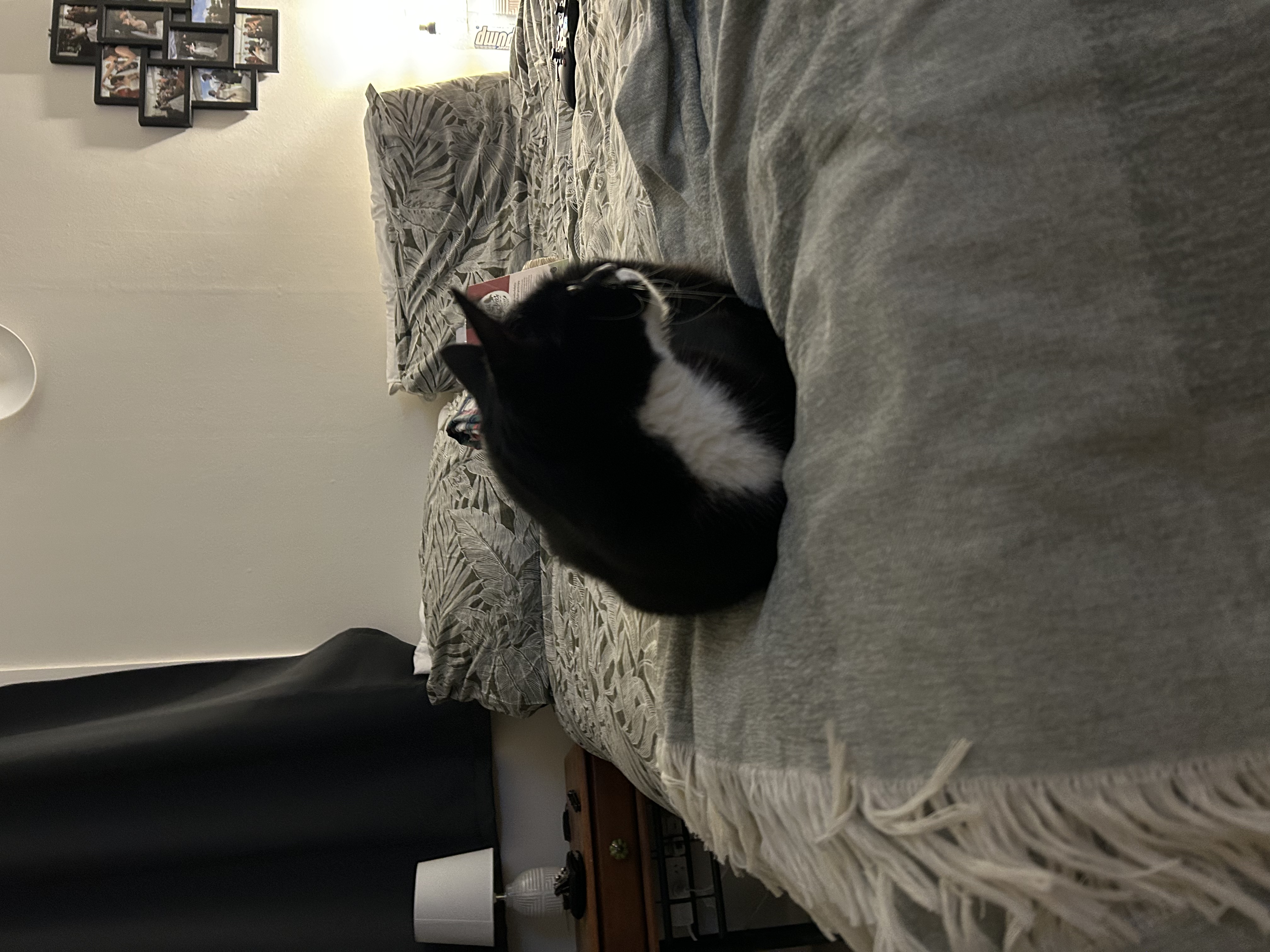 image-12