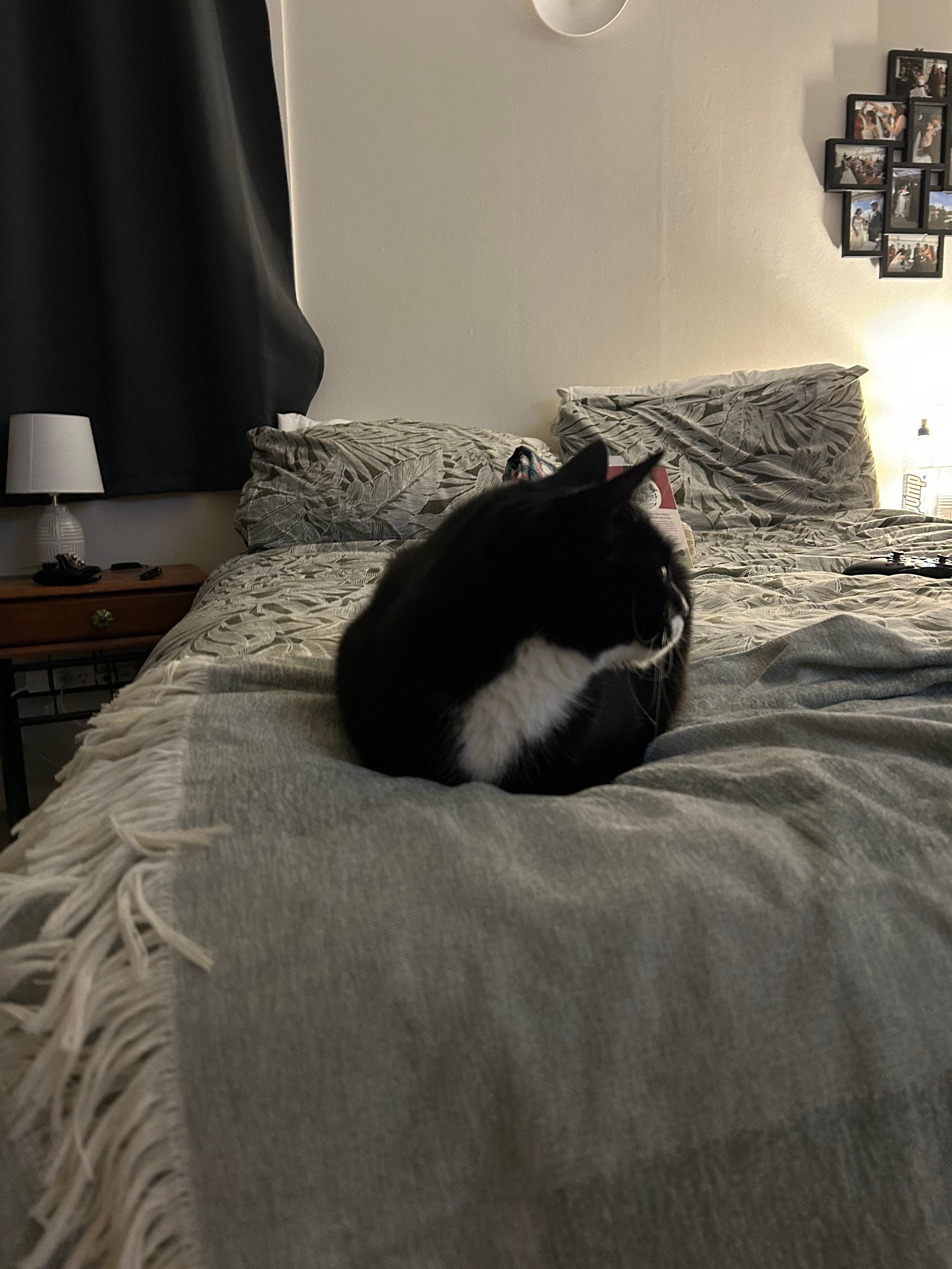 image-12