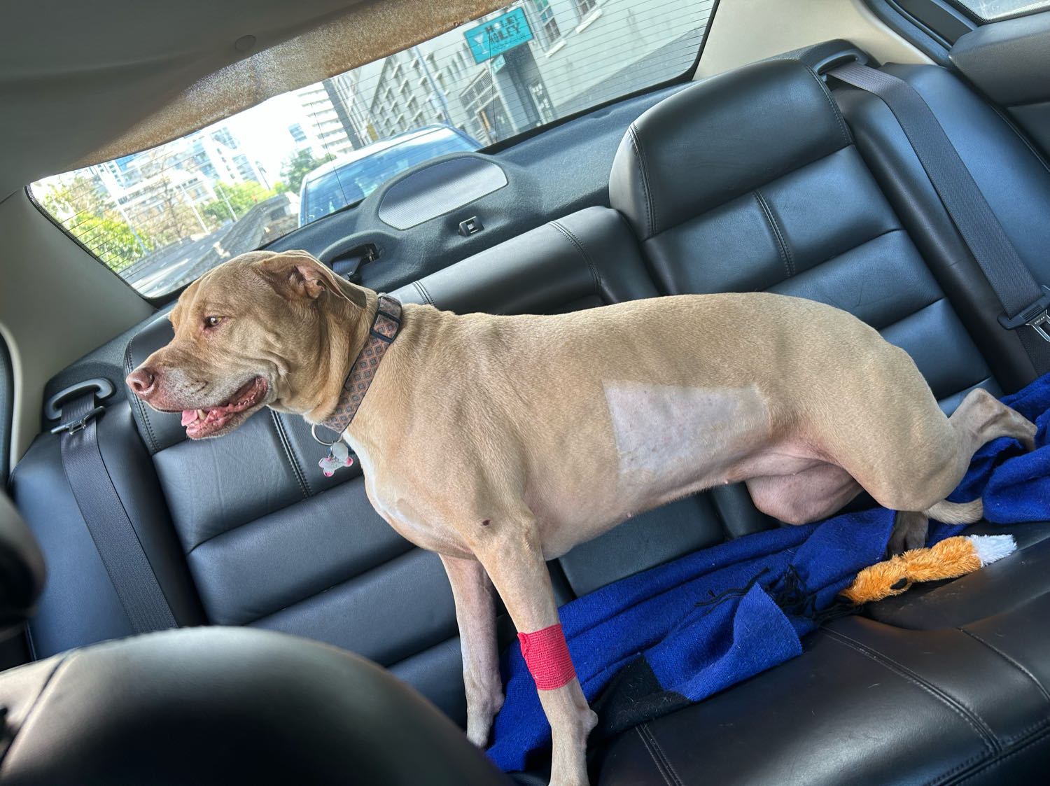 image-10
