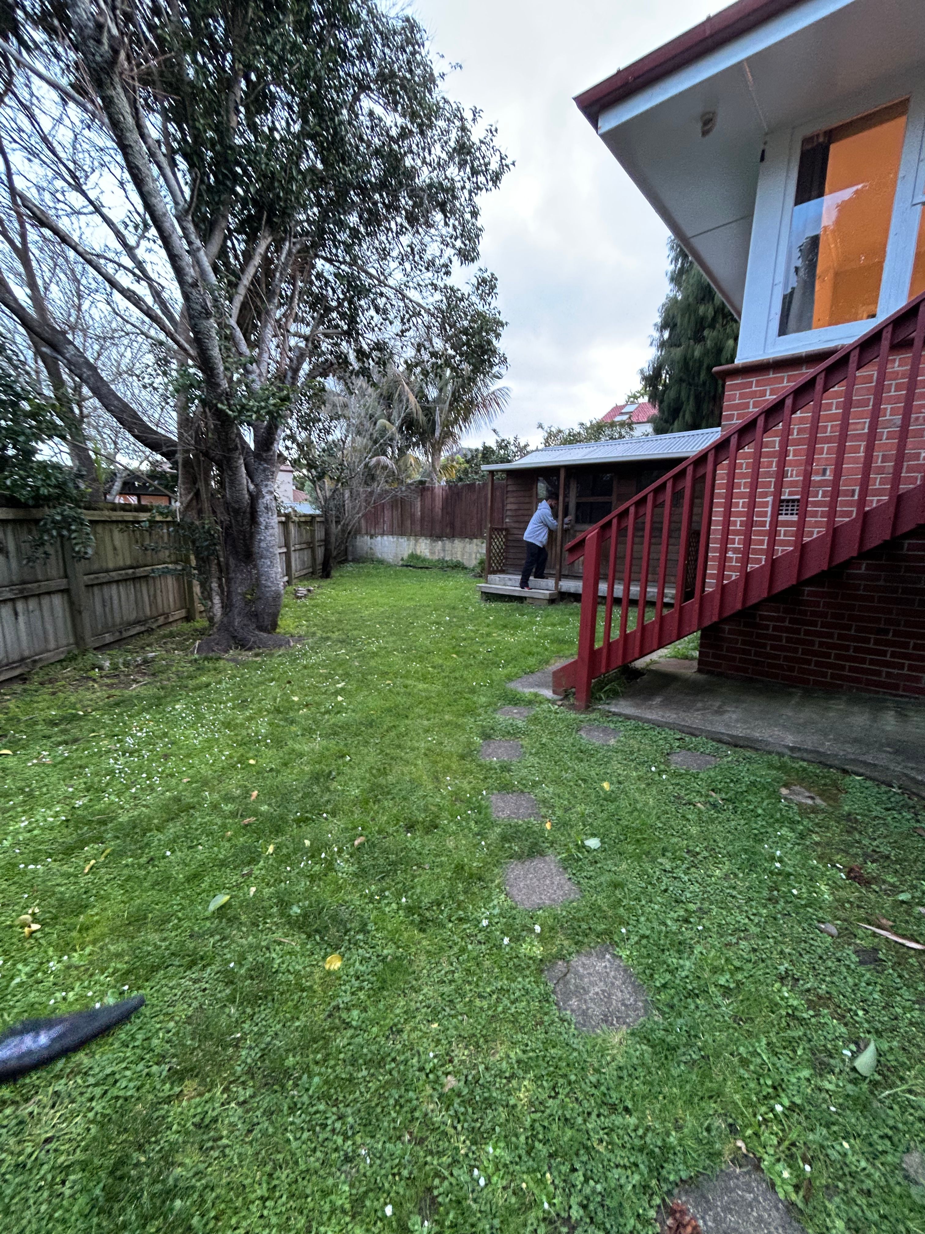 image-11