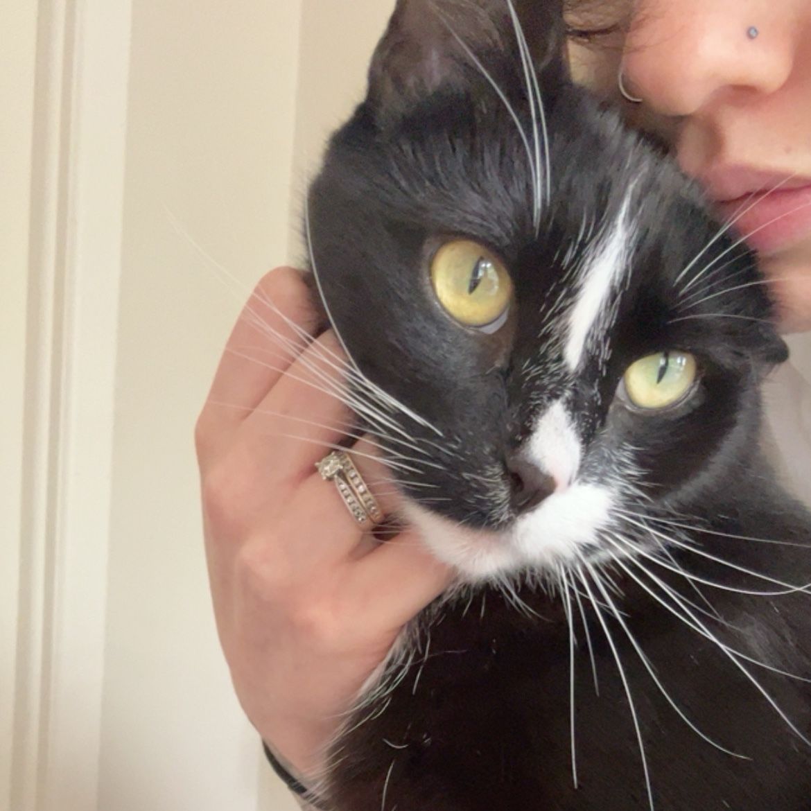 Sniffy (Sylvester)
