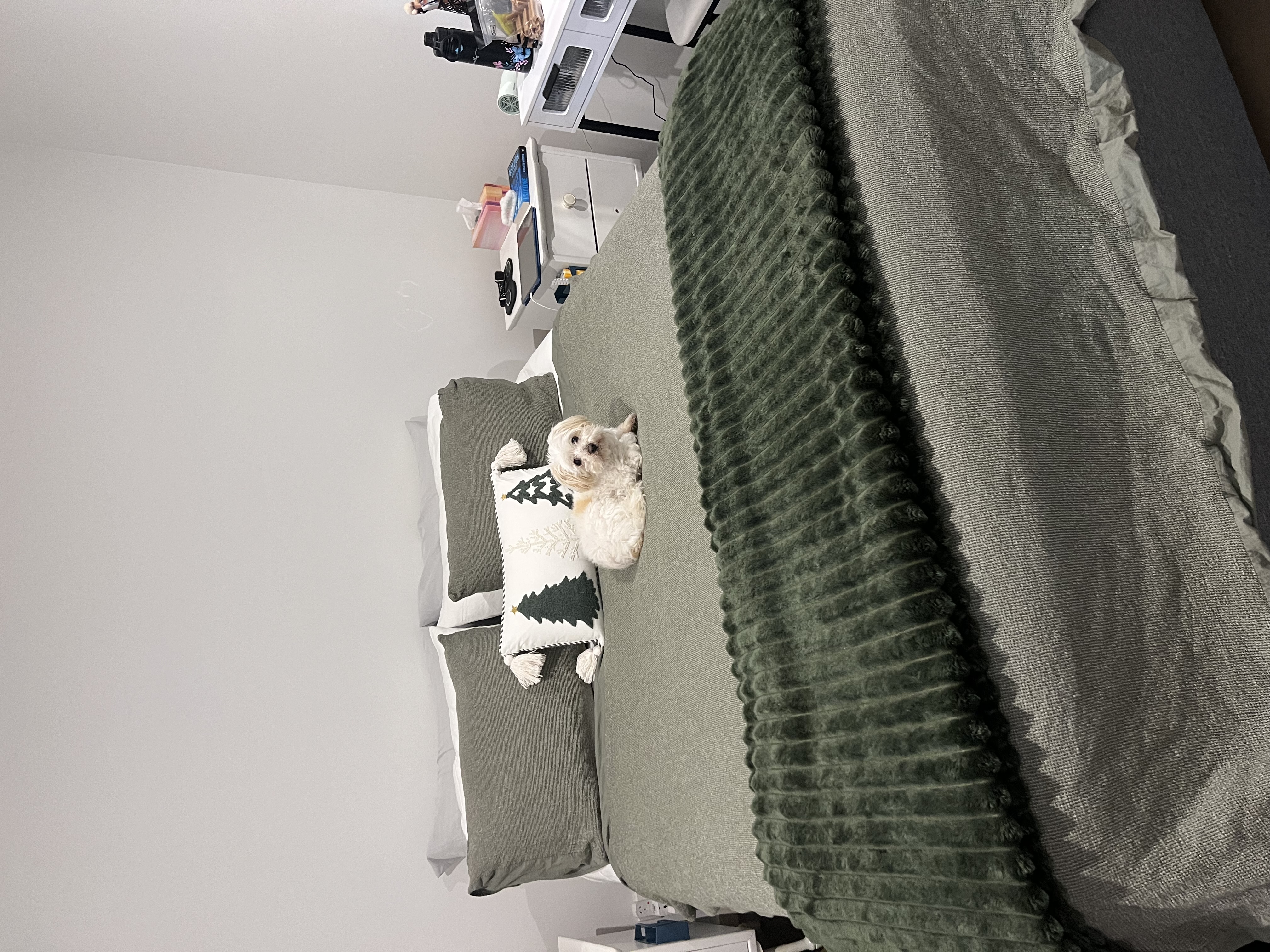 image-15