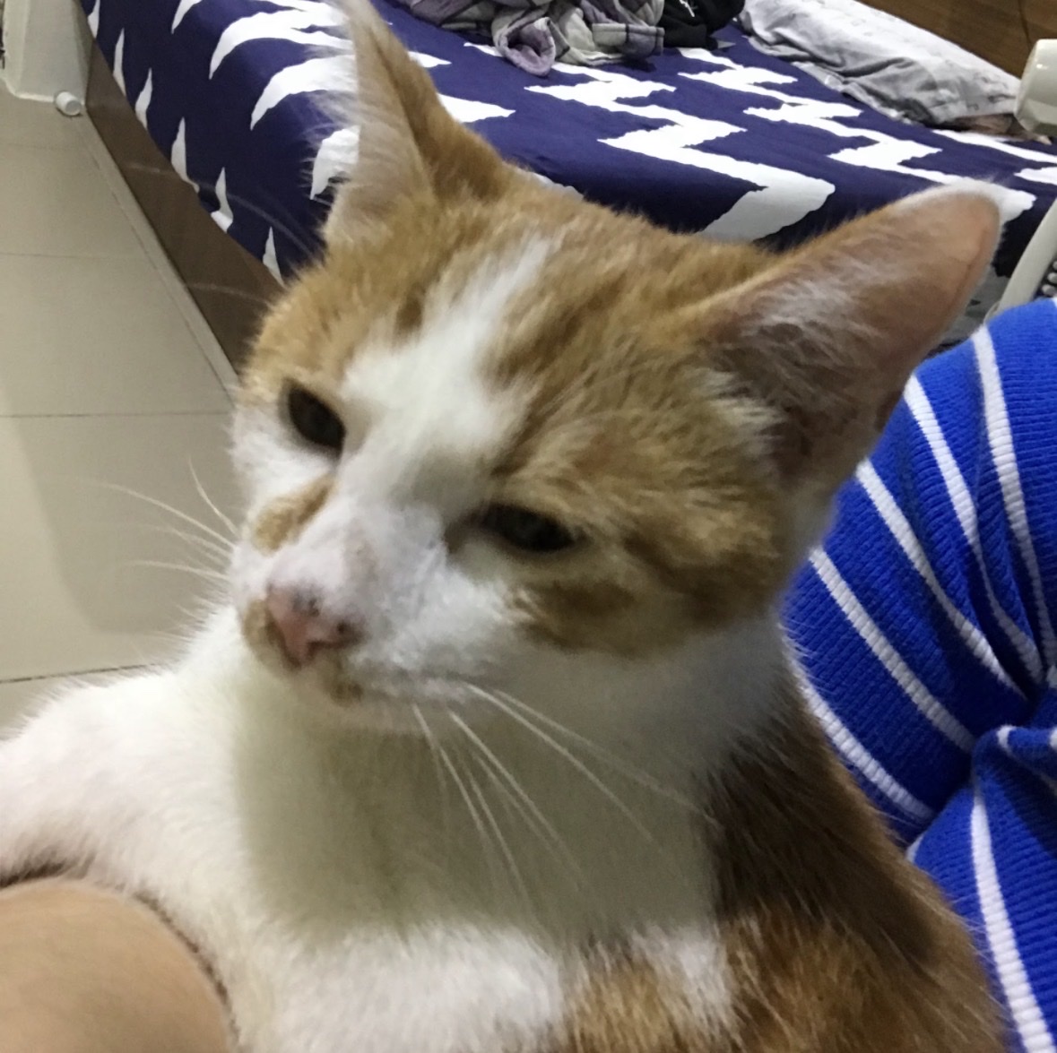 image-11