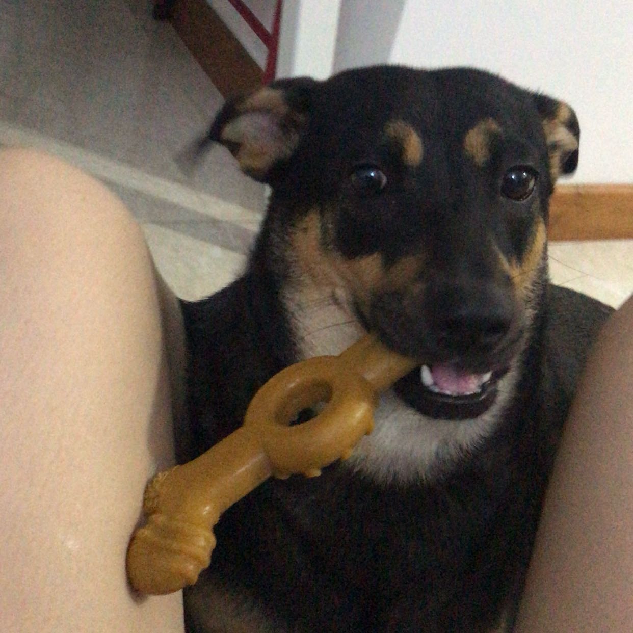 Kopi