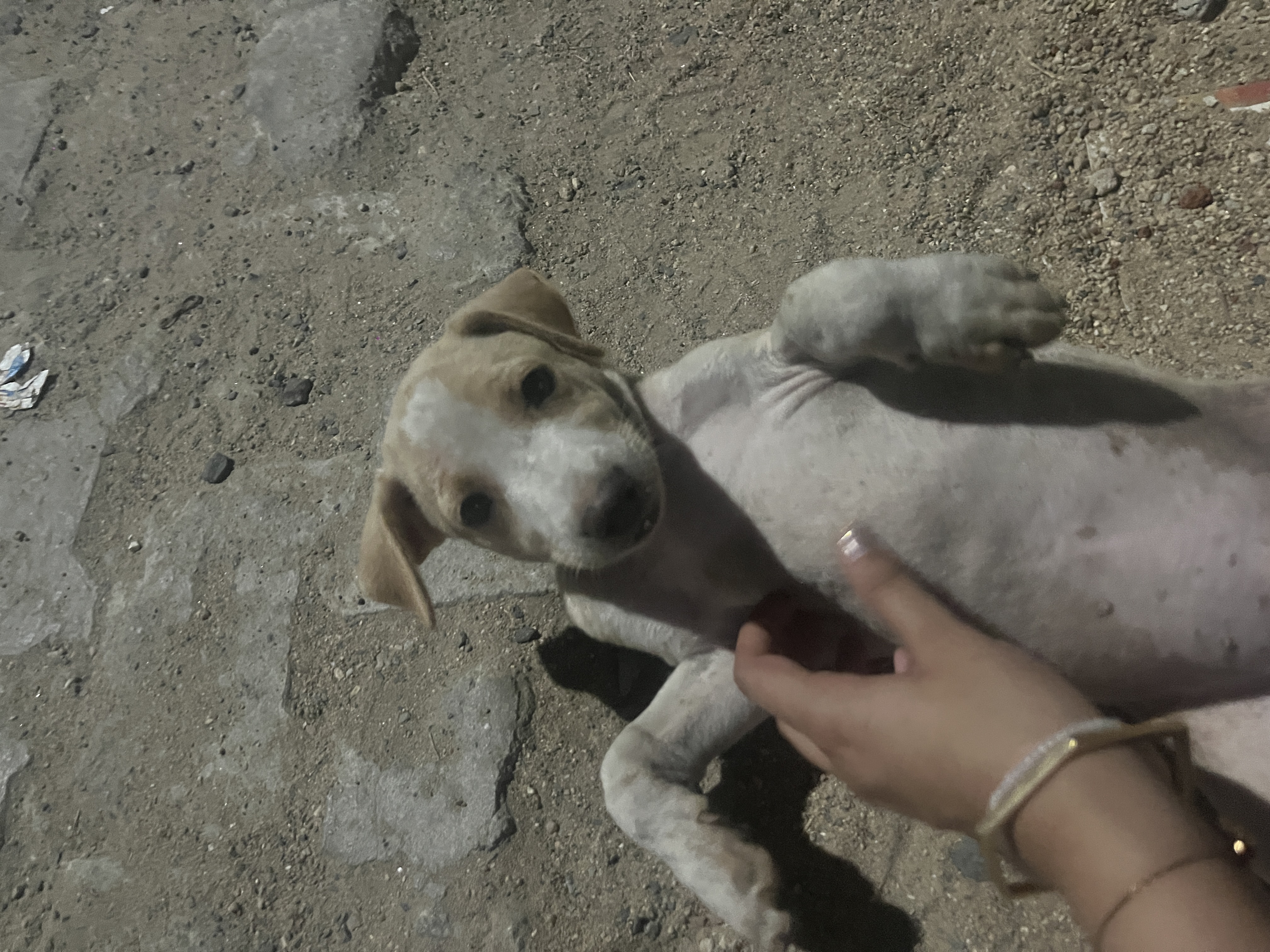 image-6