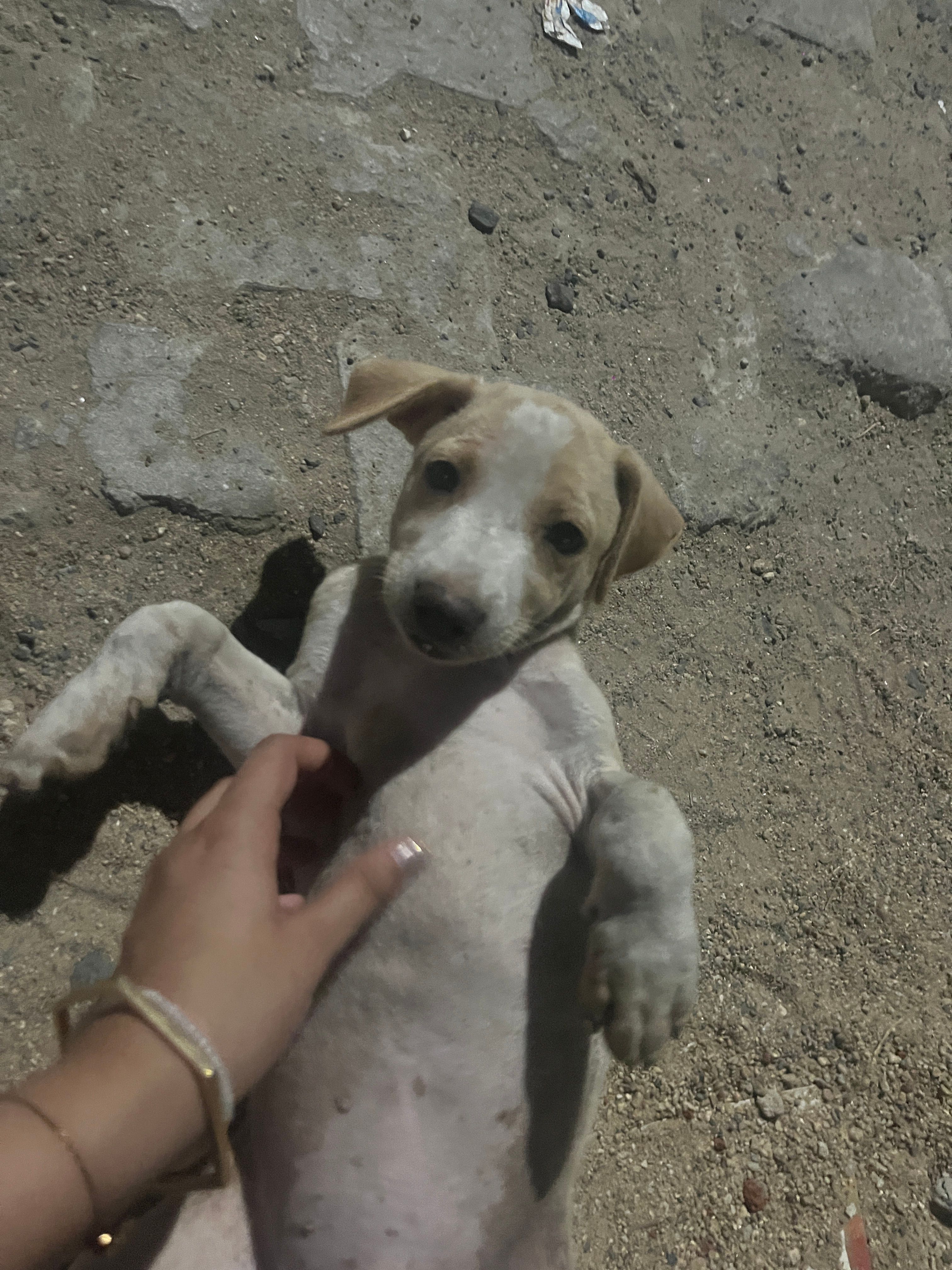 image-6