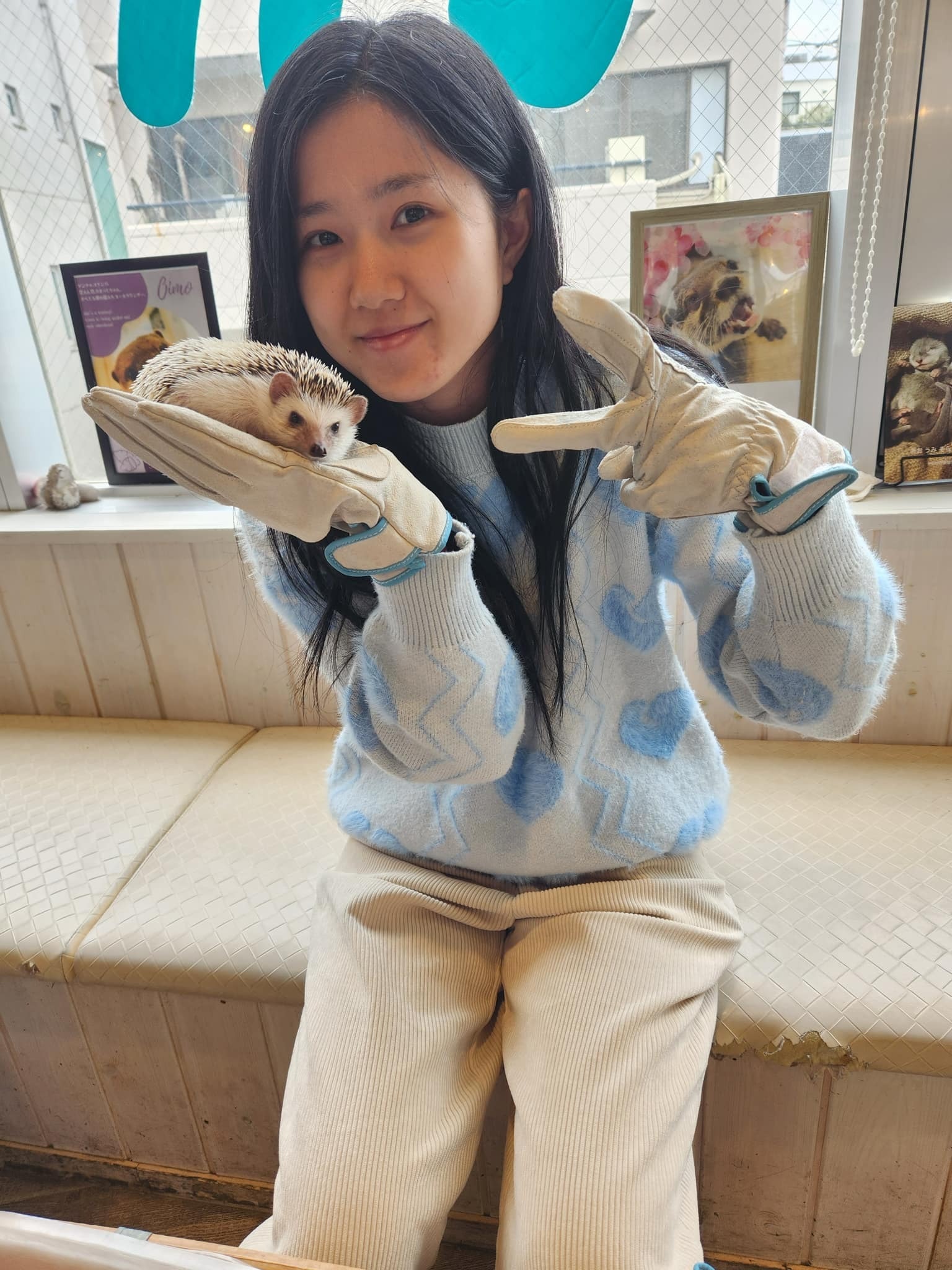 image-2