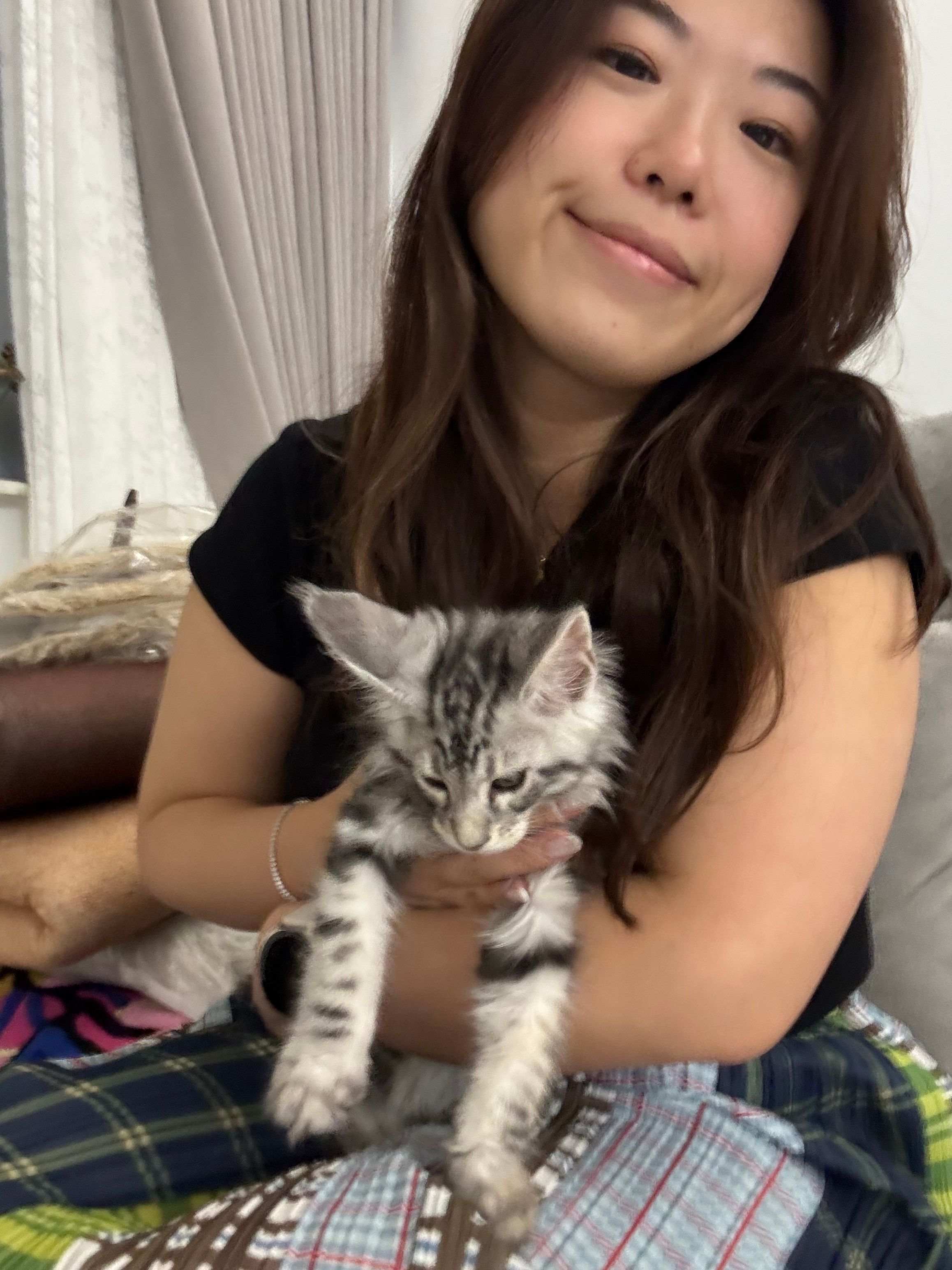 image-6
