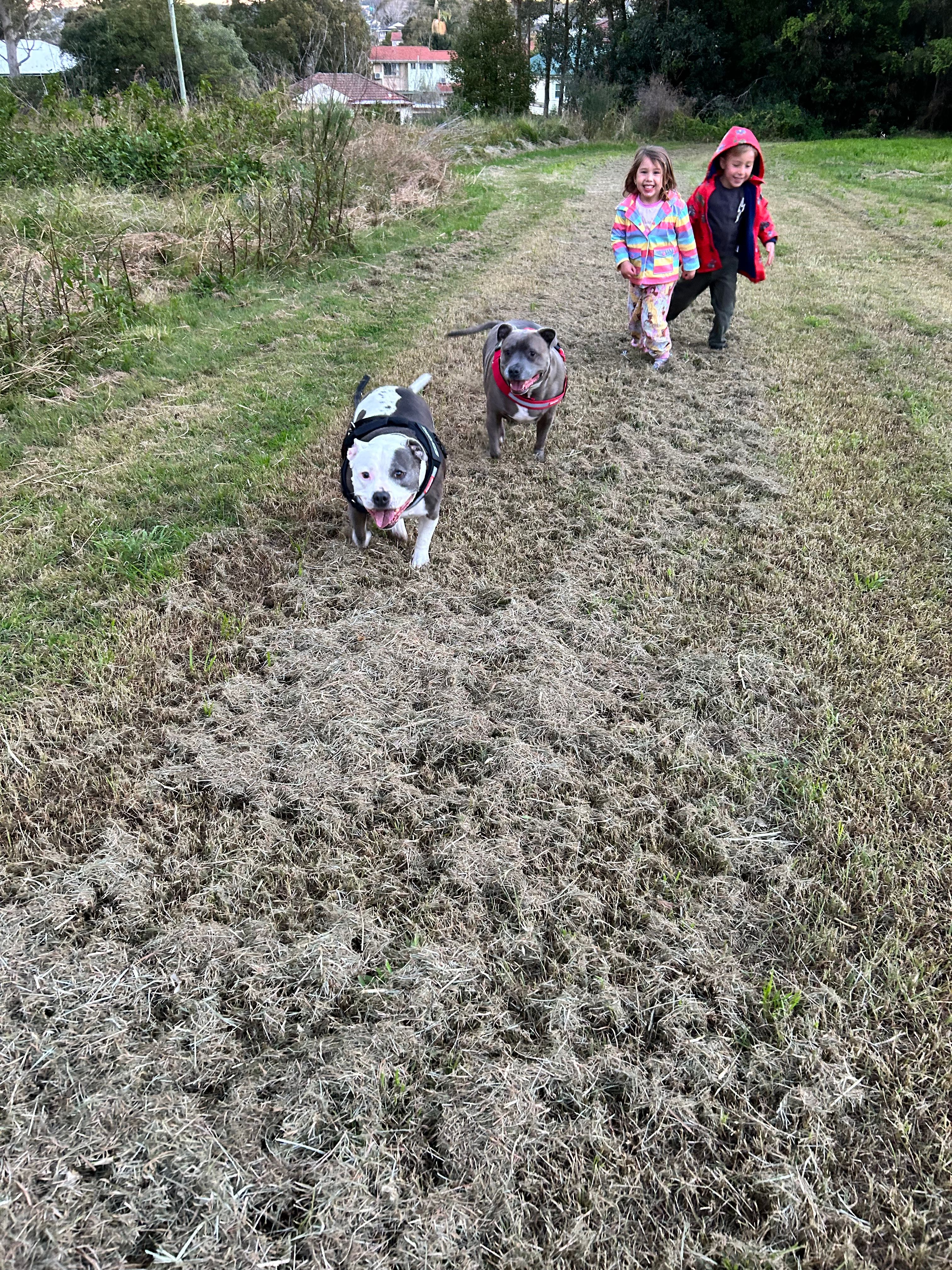 image-16