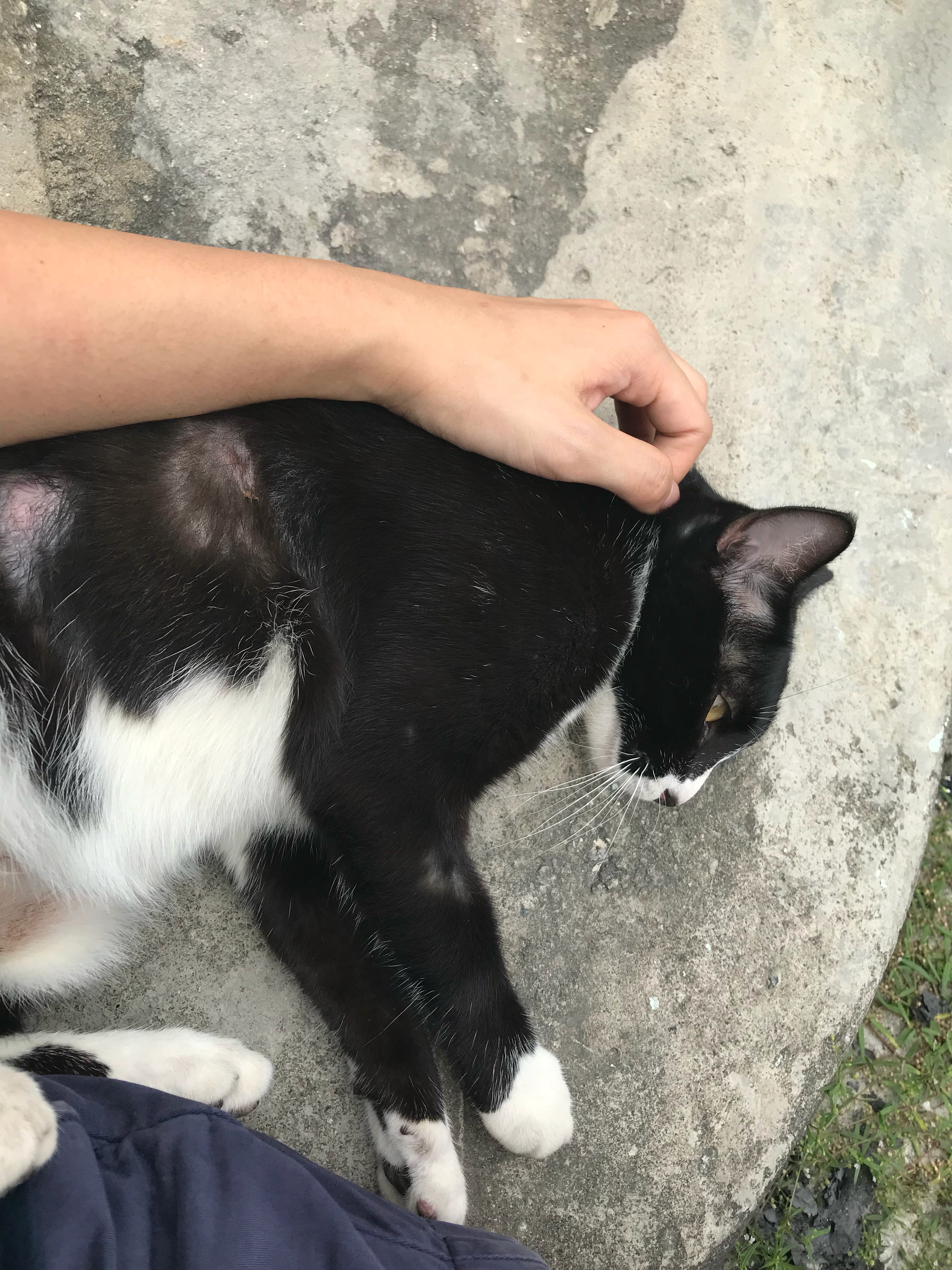 image-10