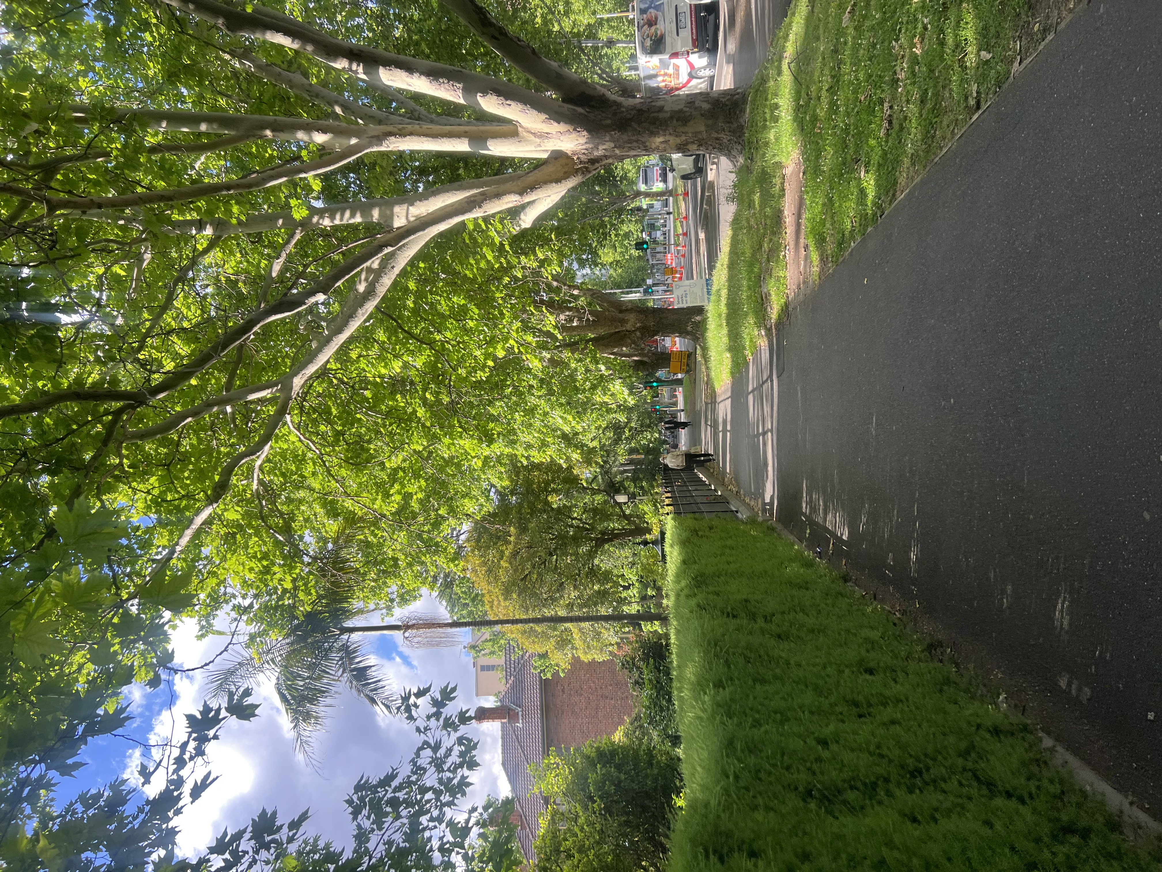 image-17