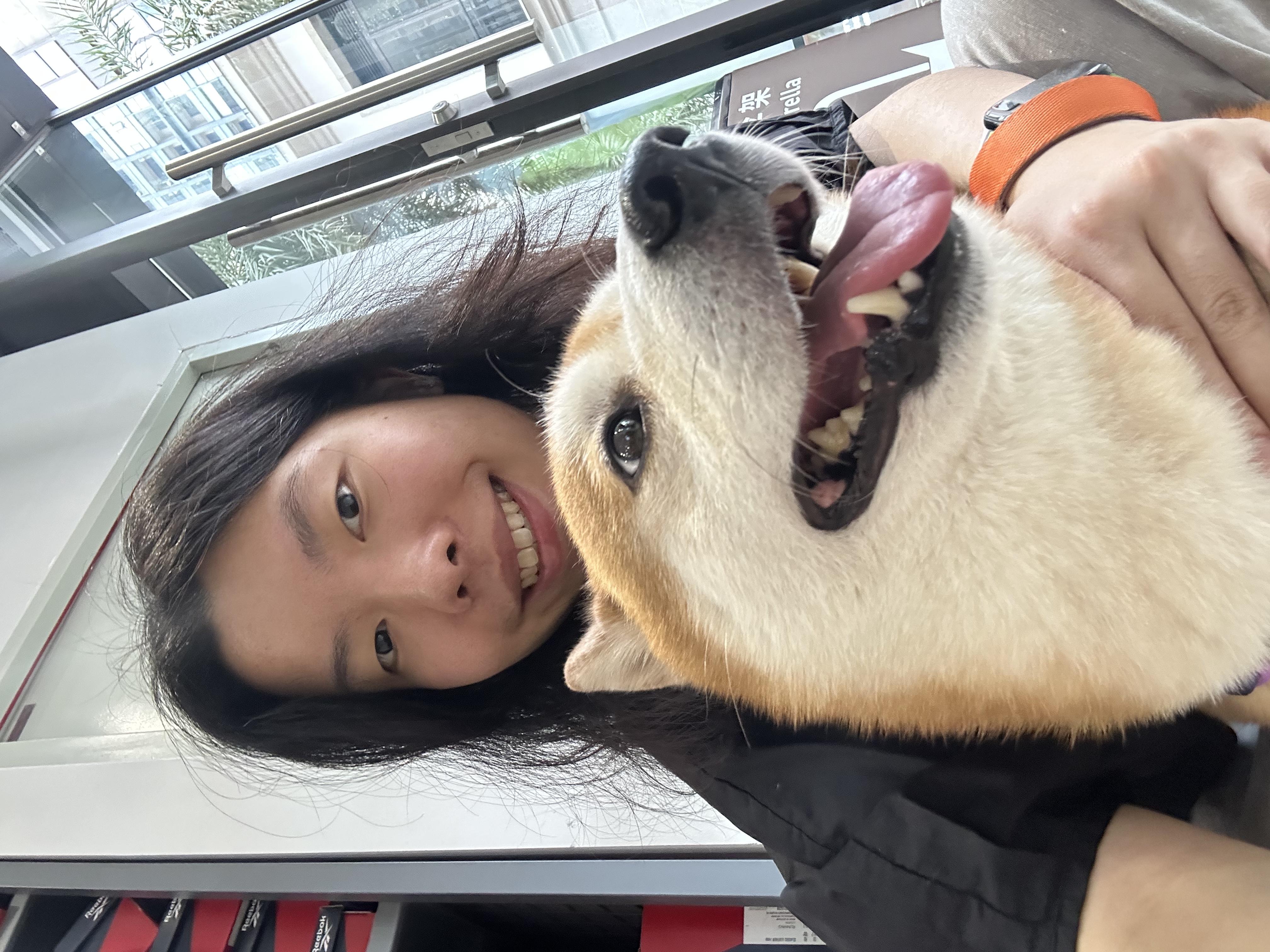 image-5