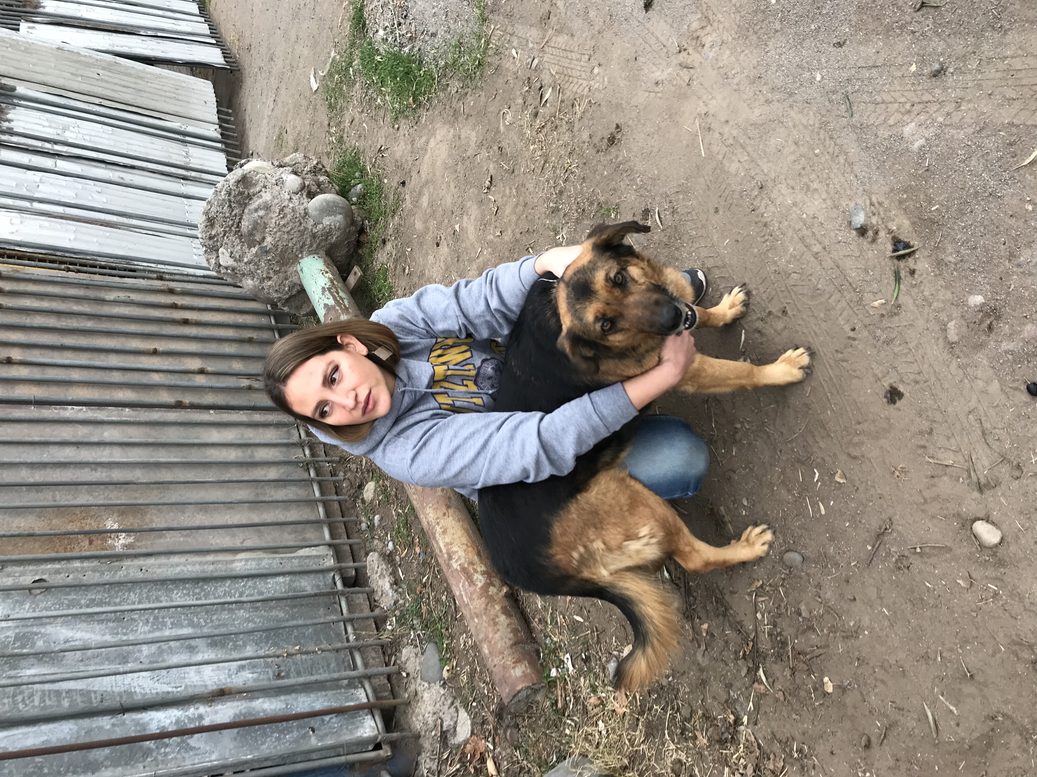 image-8