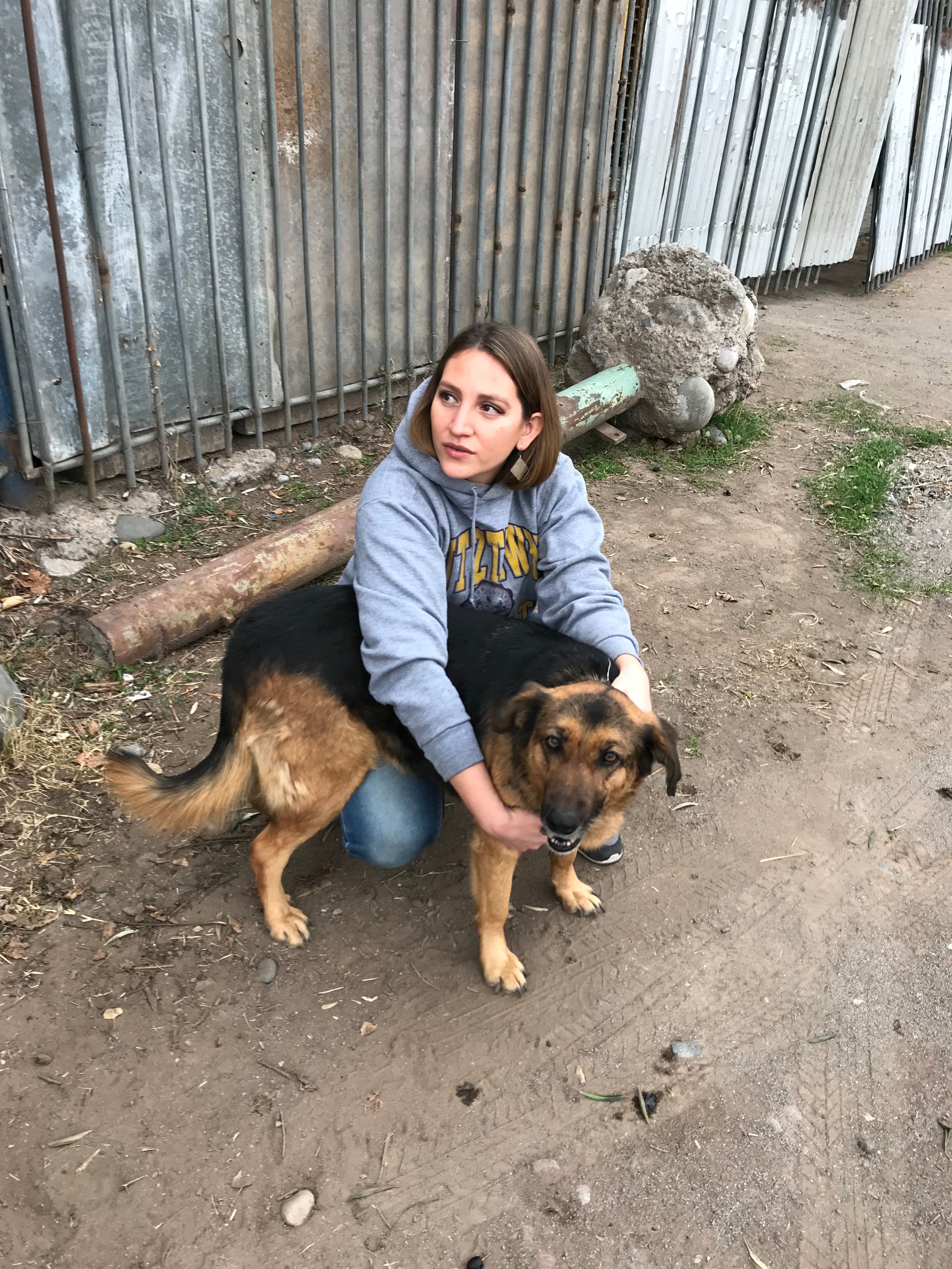 image-8
