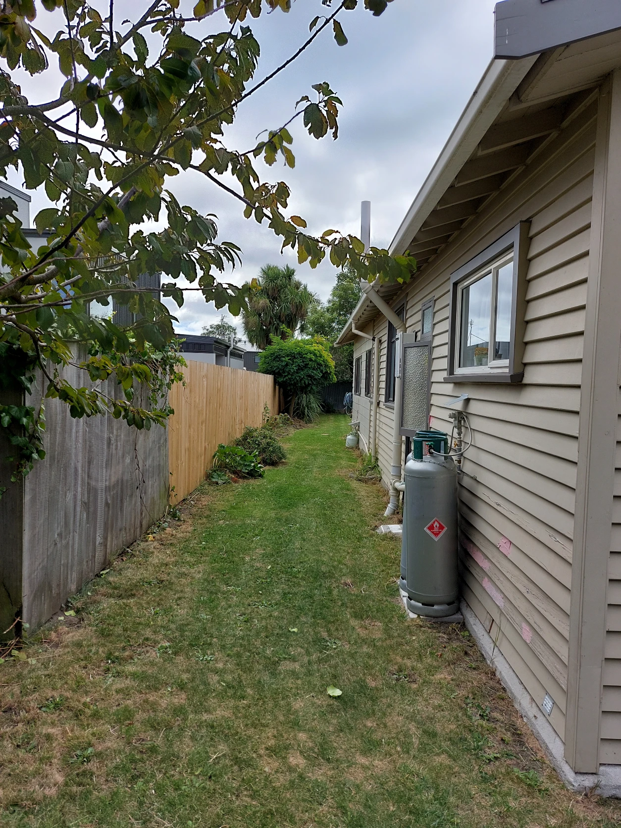 image-18