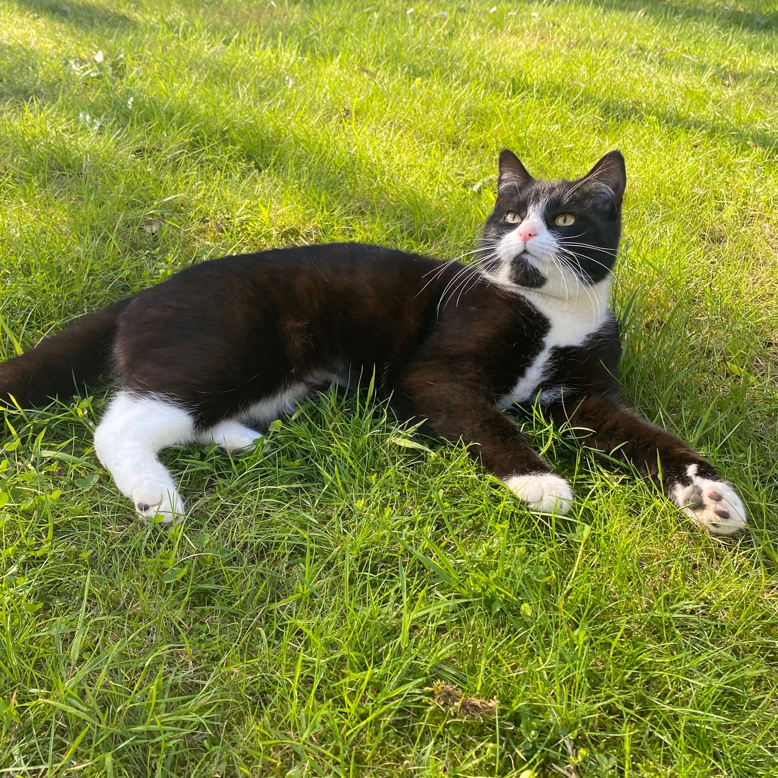 Luna