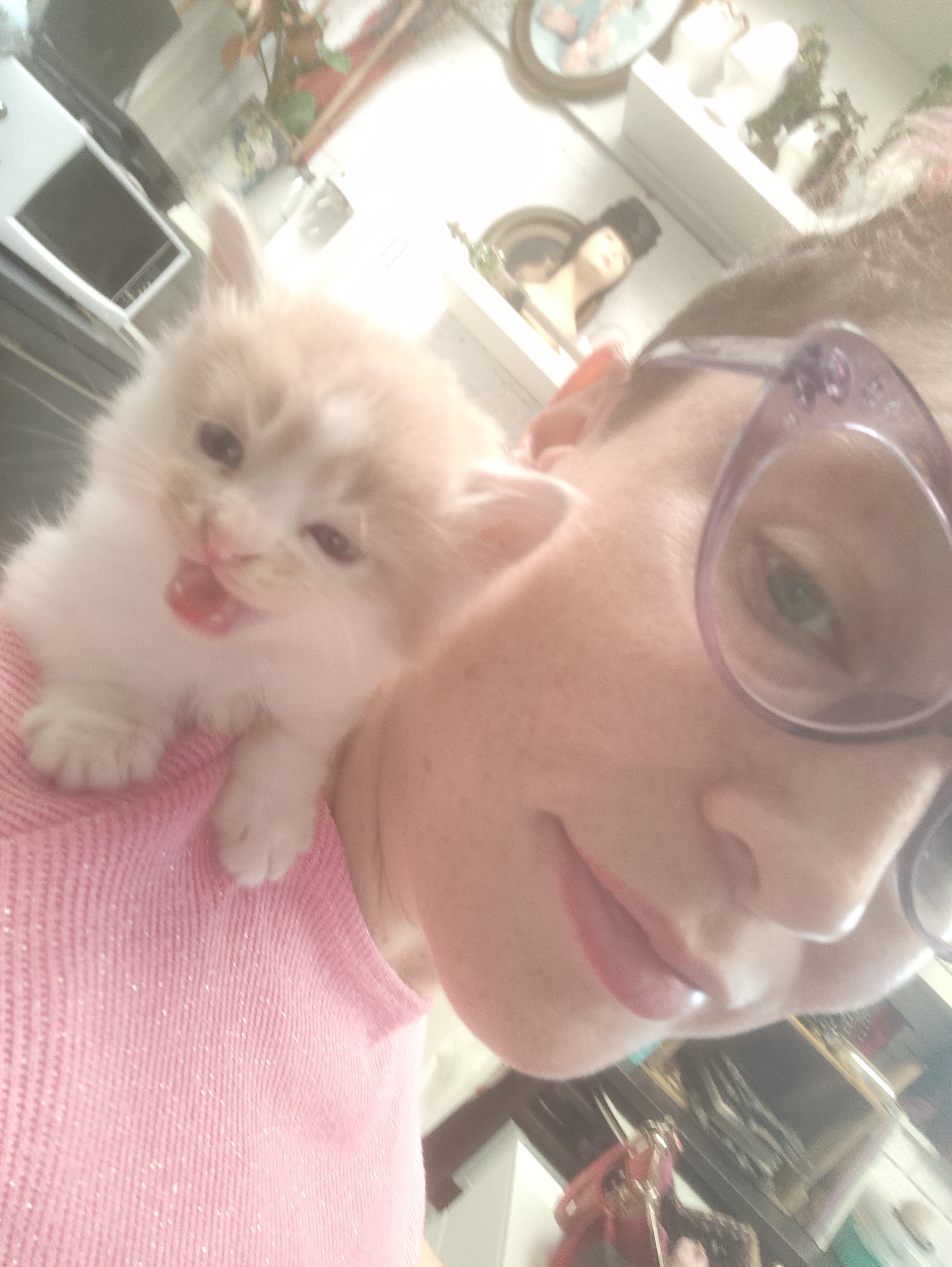 image-4