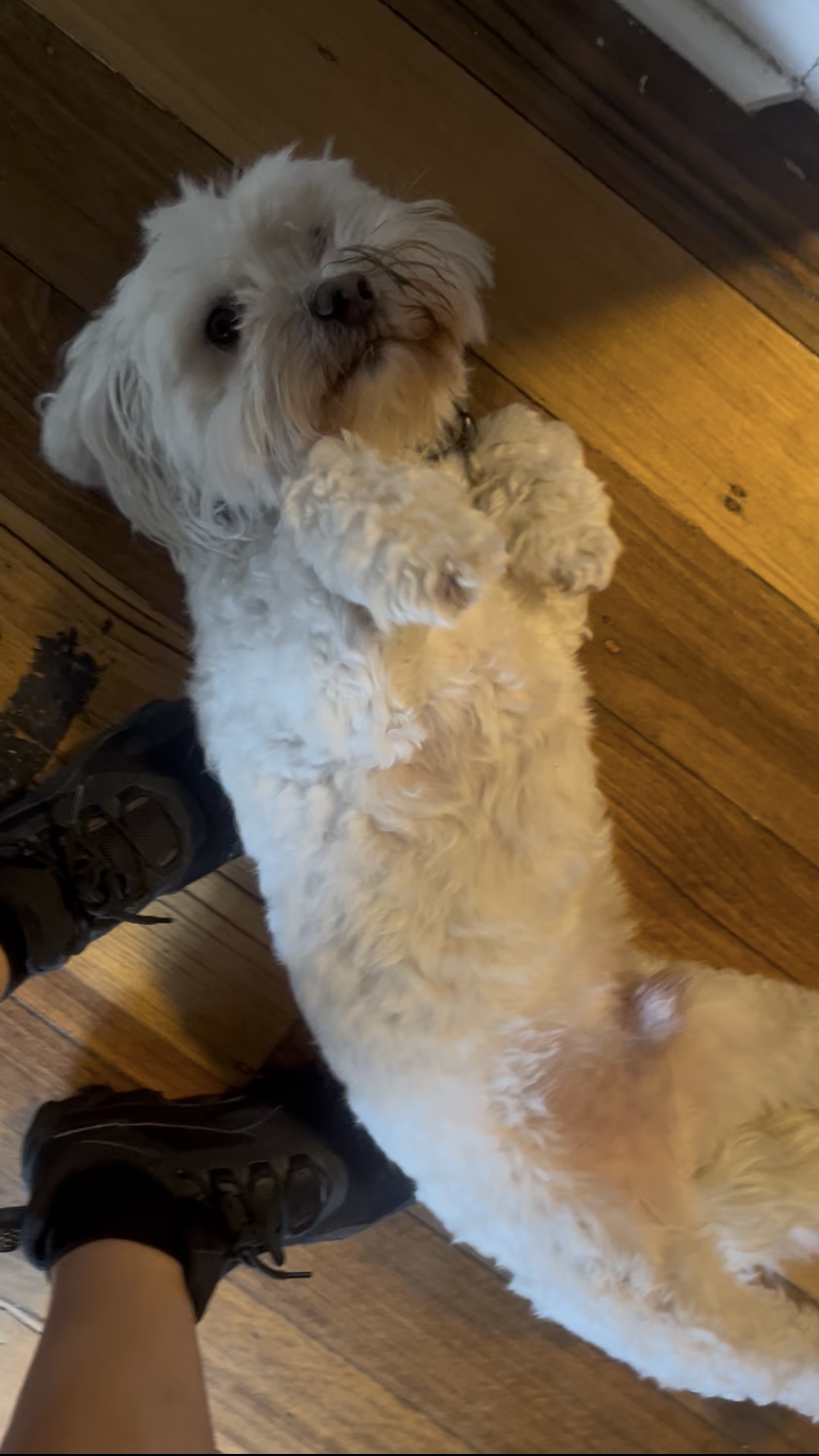 image-8