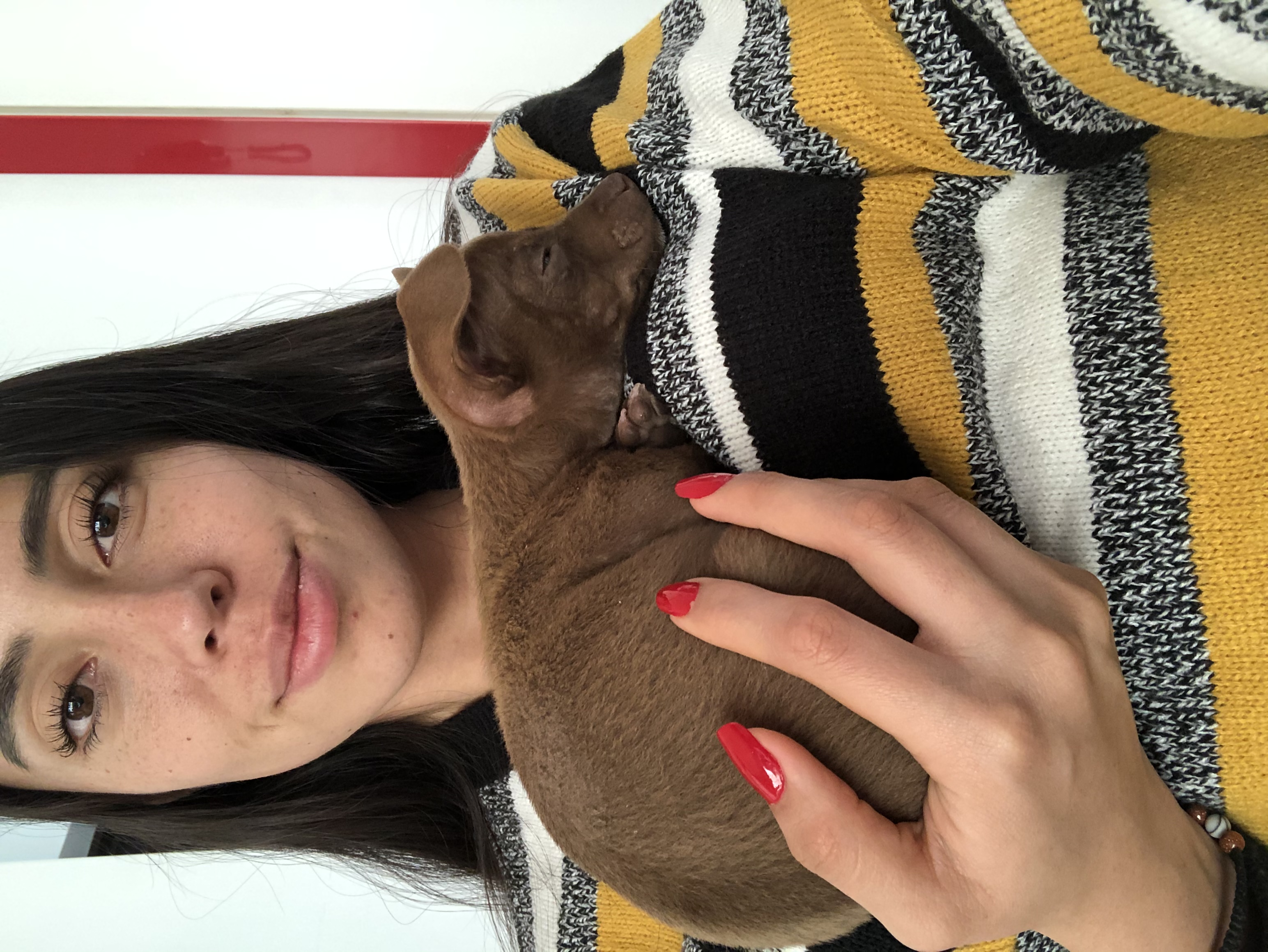 image-8