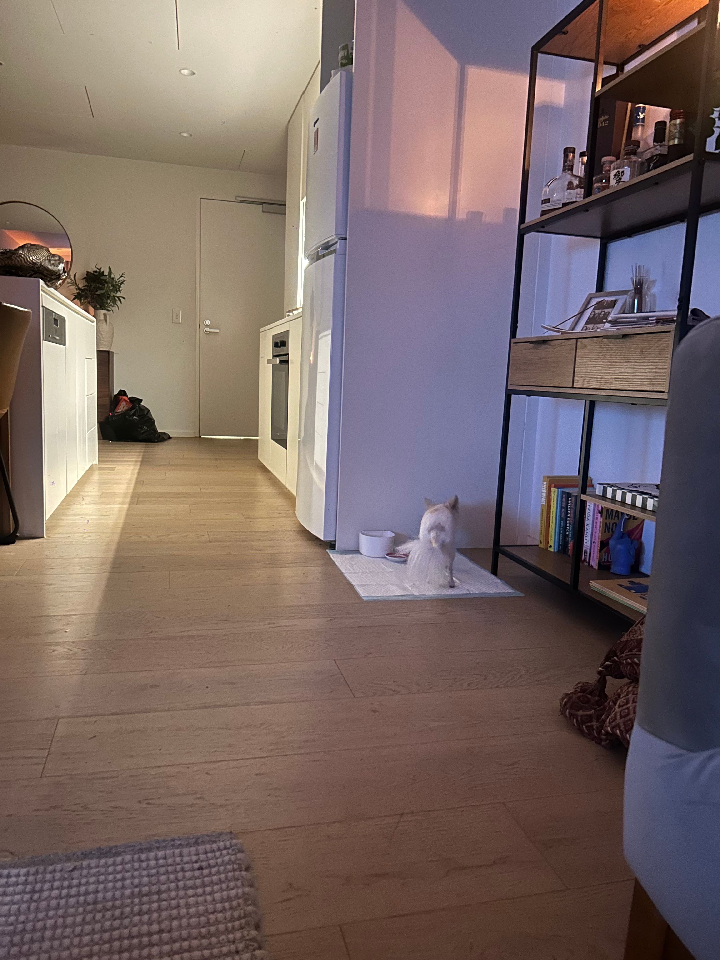image-13