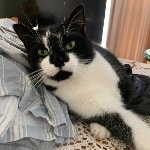CHARLIE