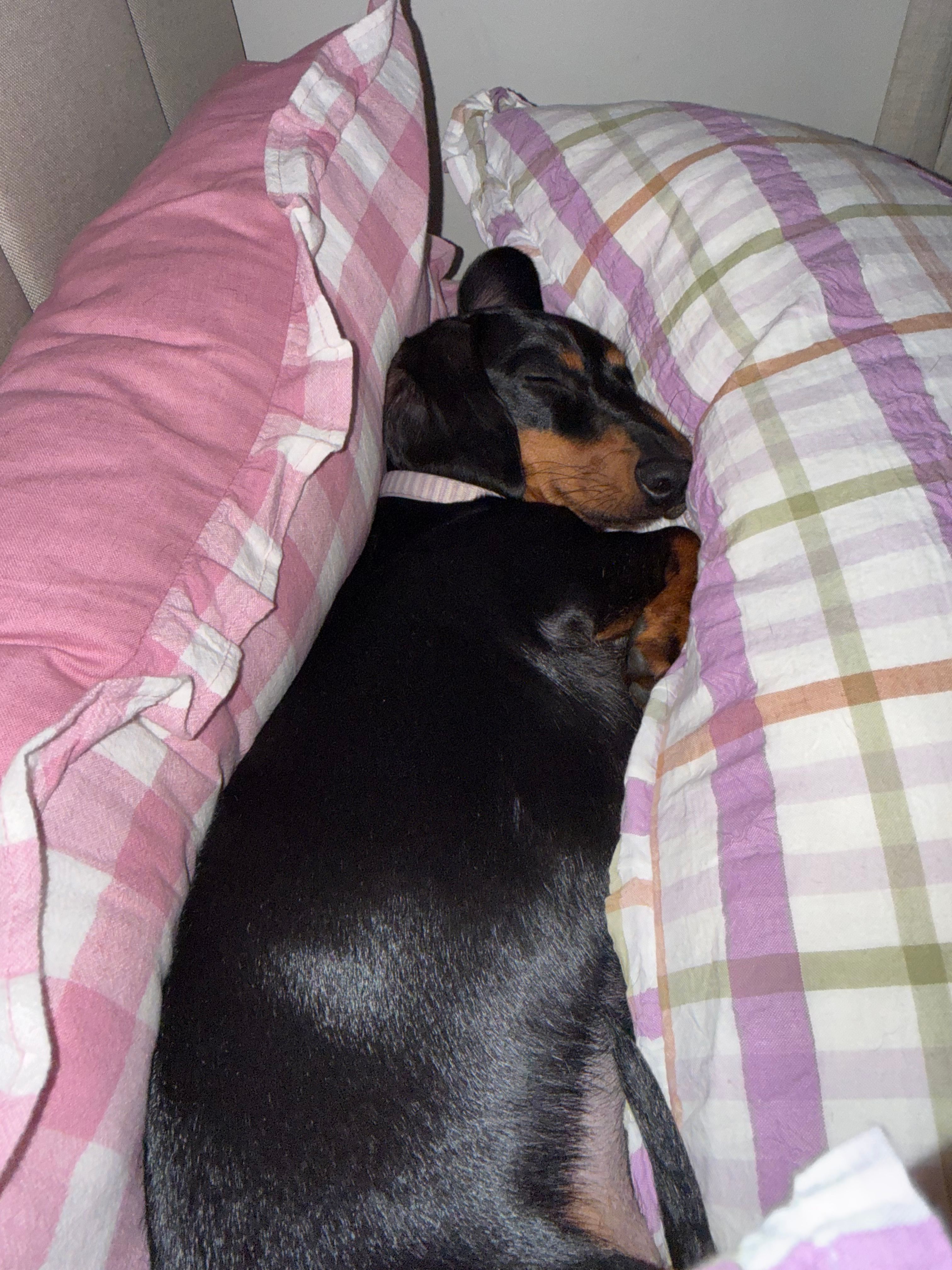 image-7