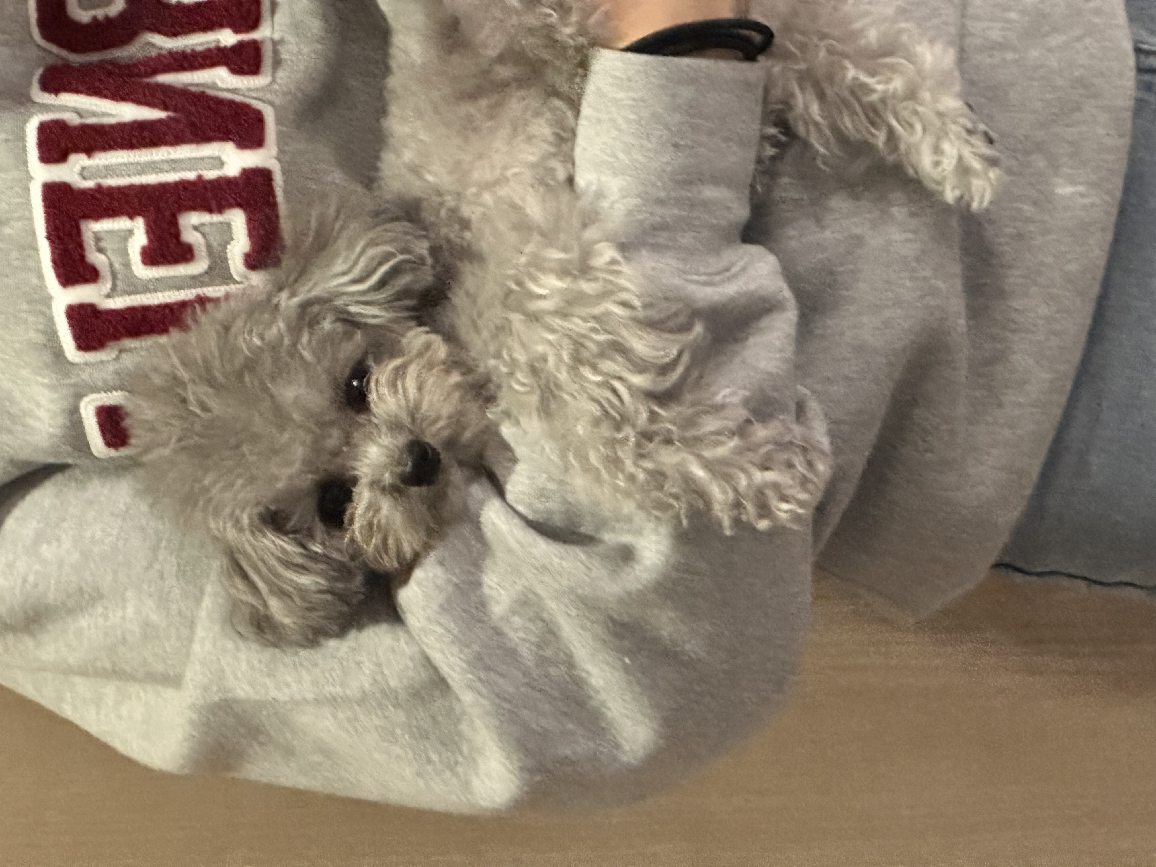 image-6