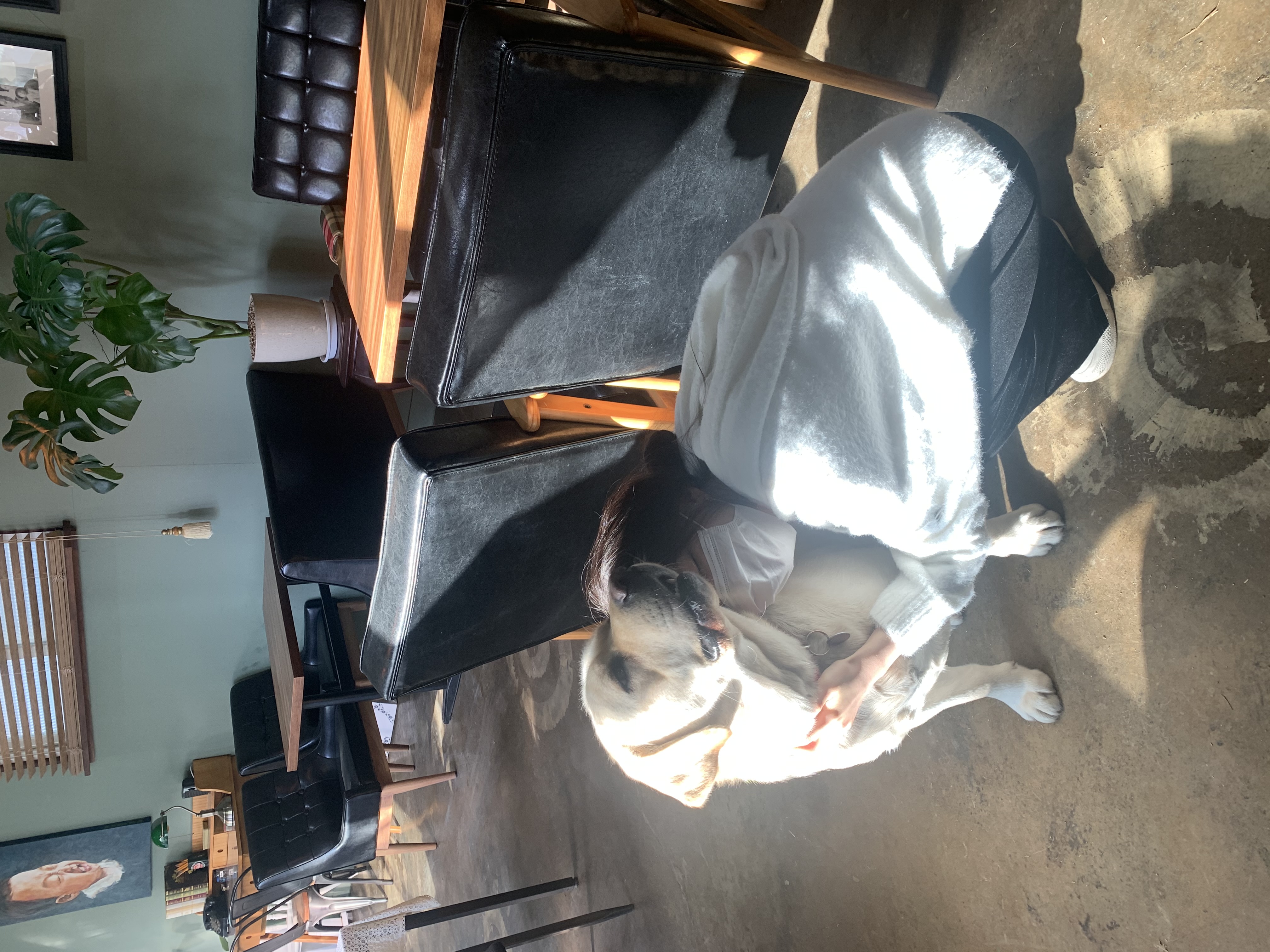 image-4
