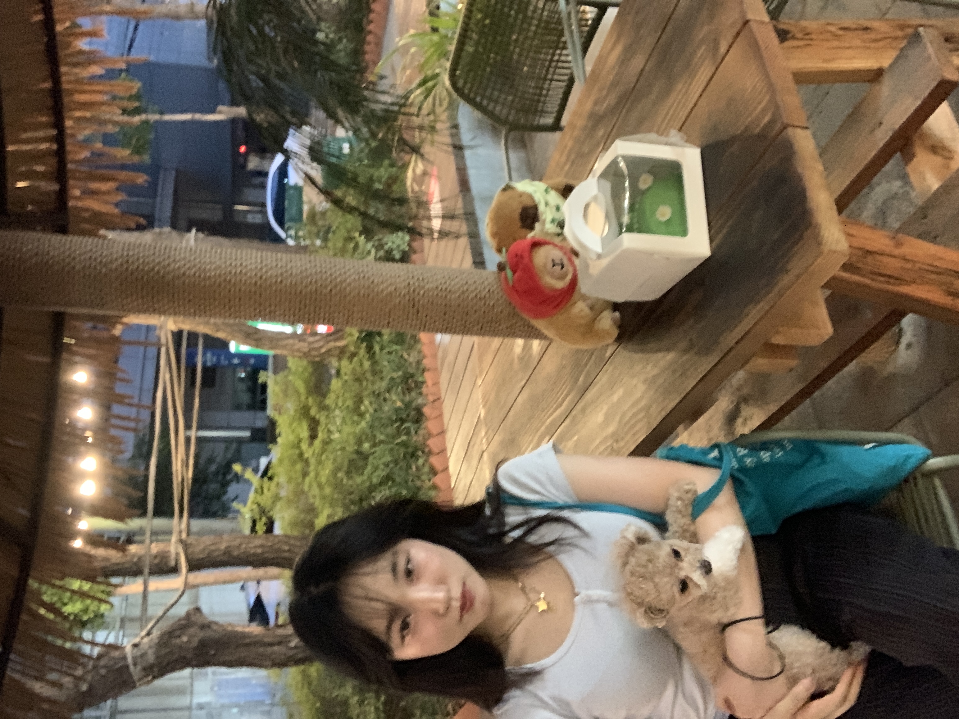 image-14