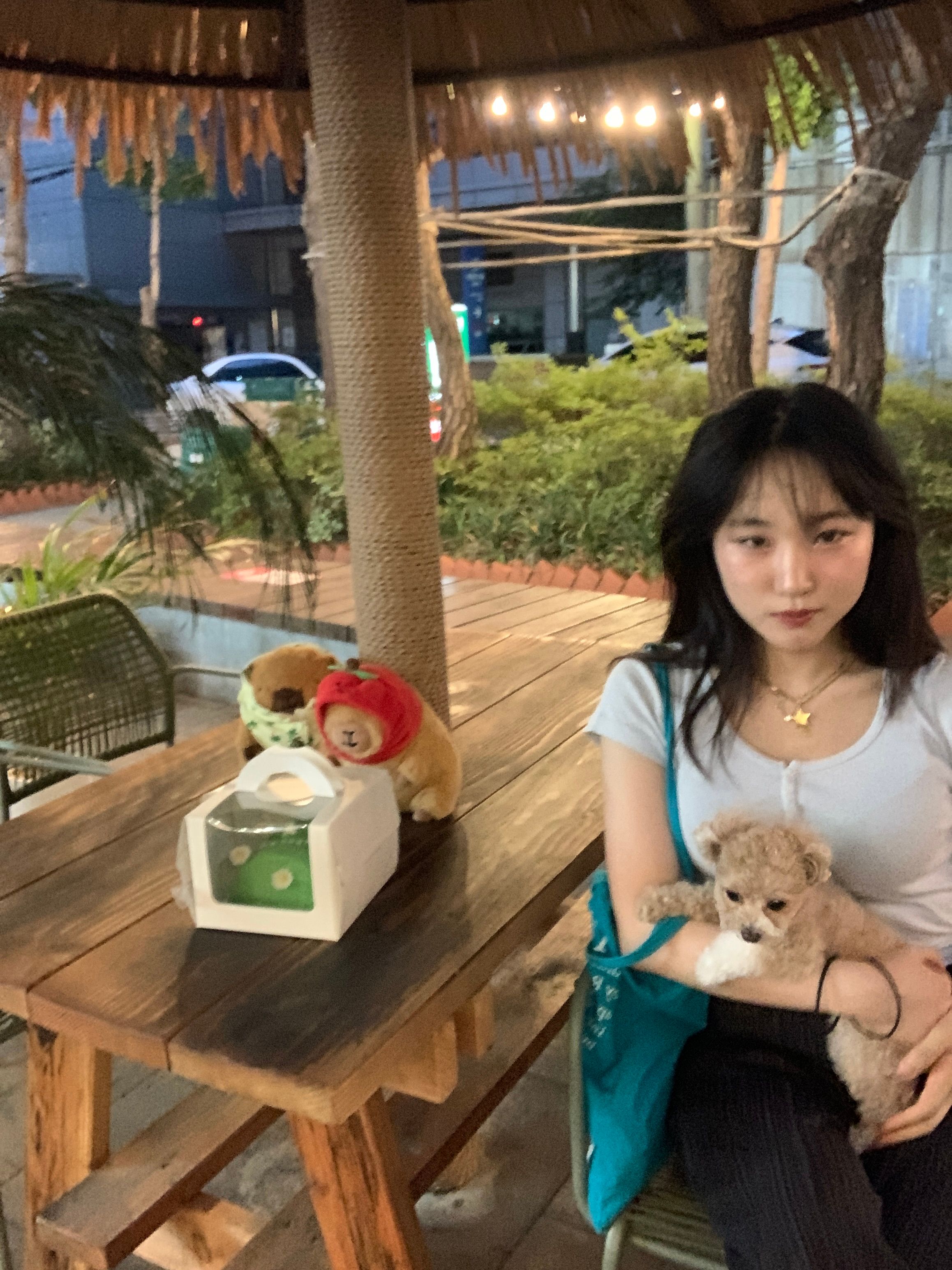 image-14
