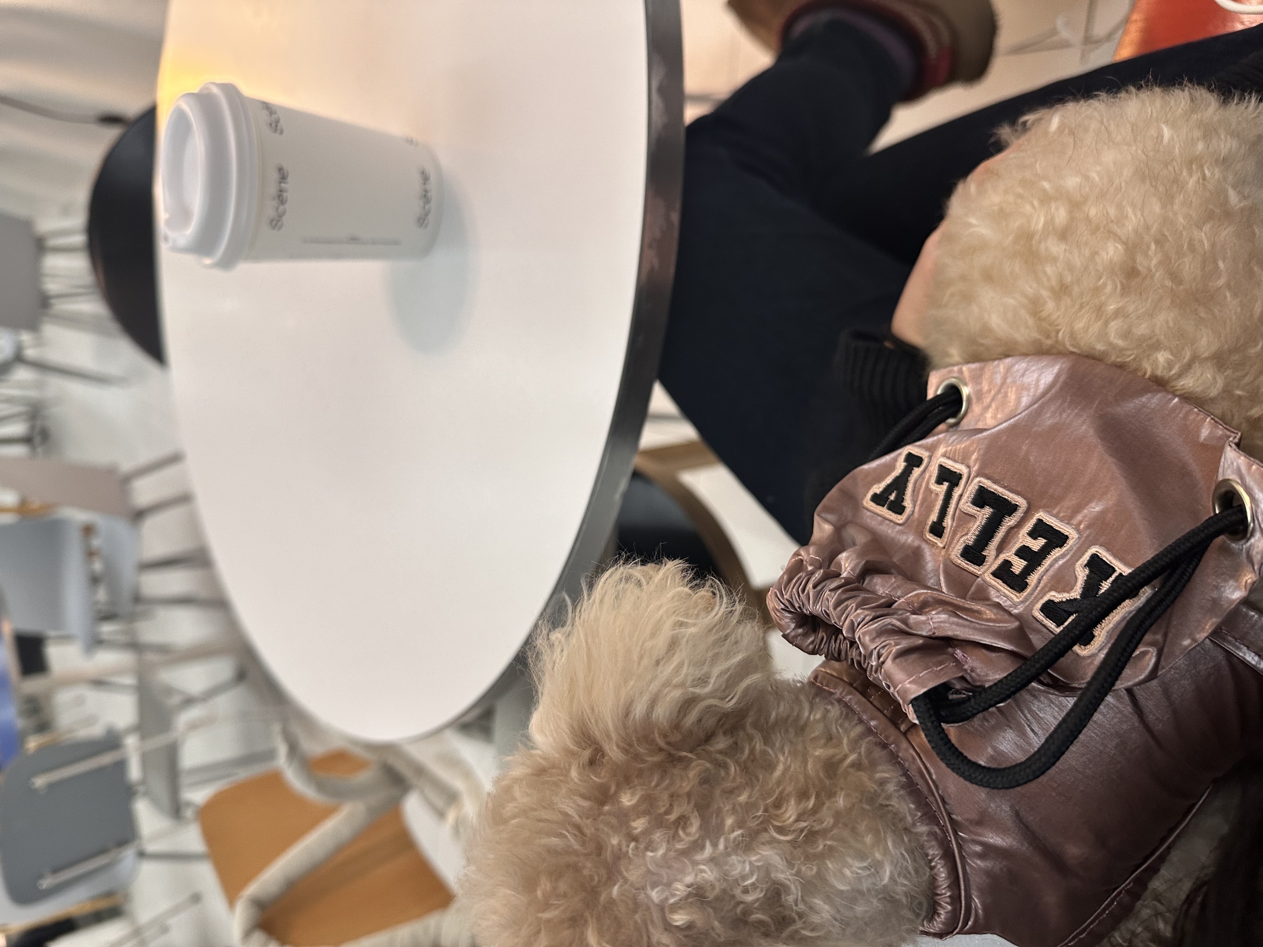 image-7
