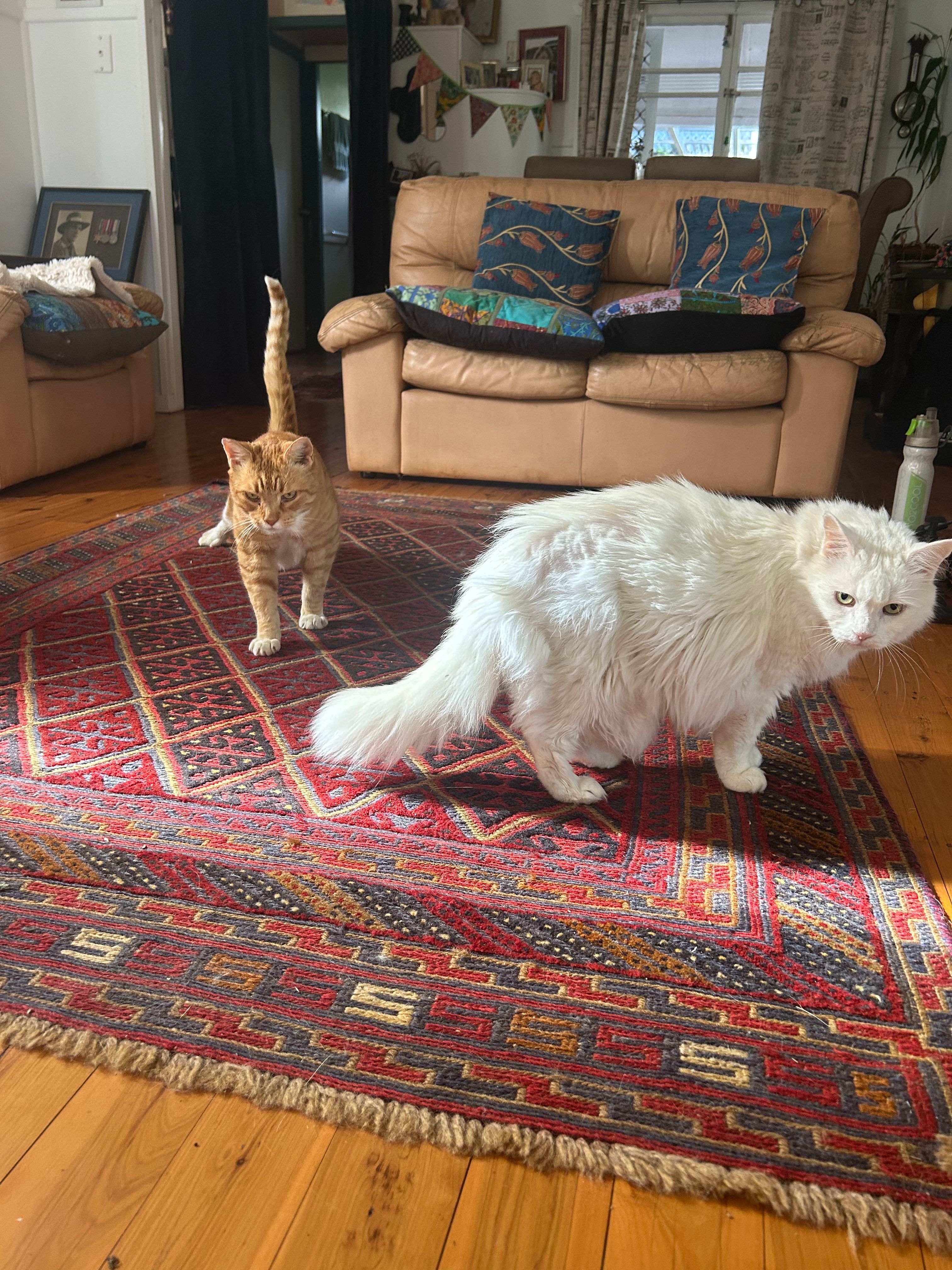 image-18