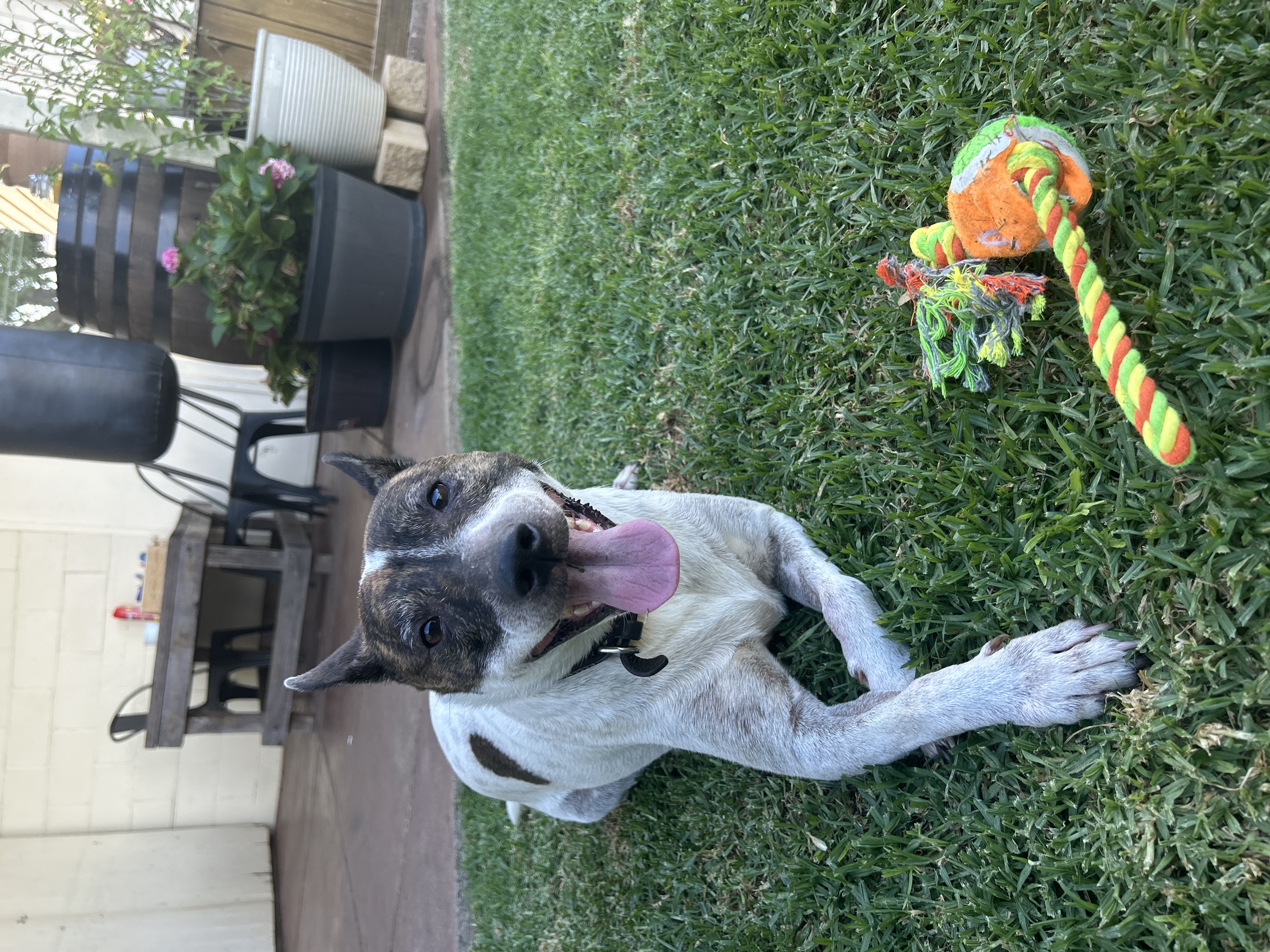 image-11
