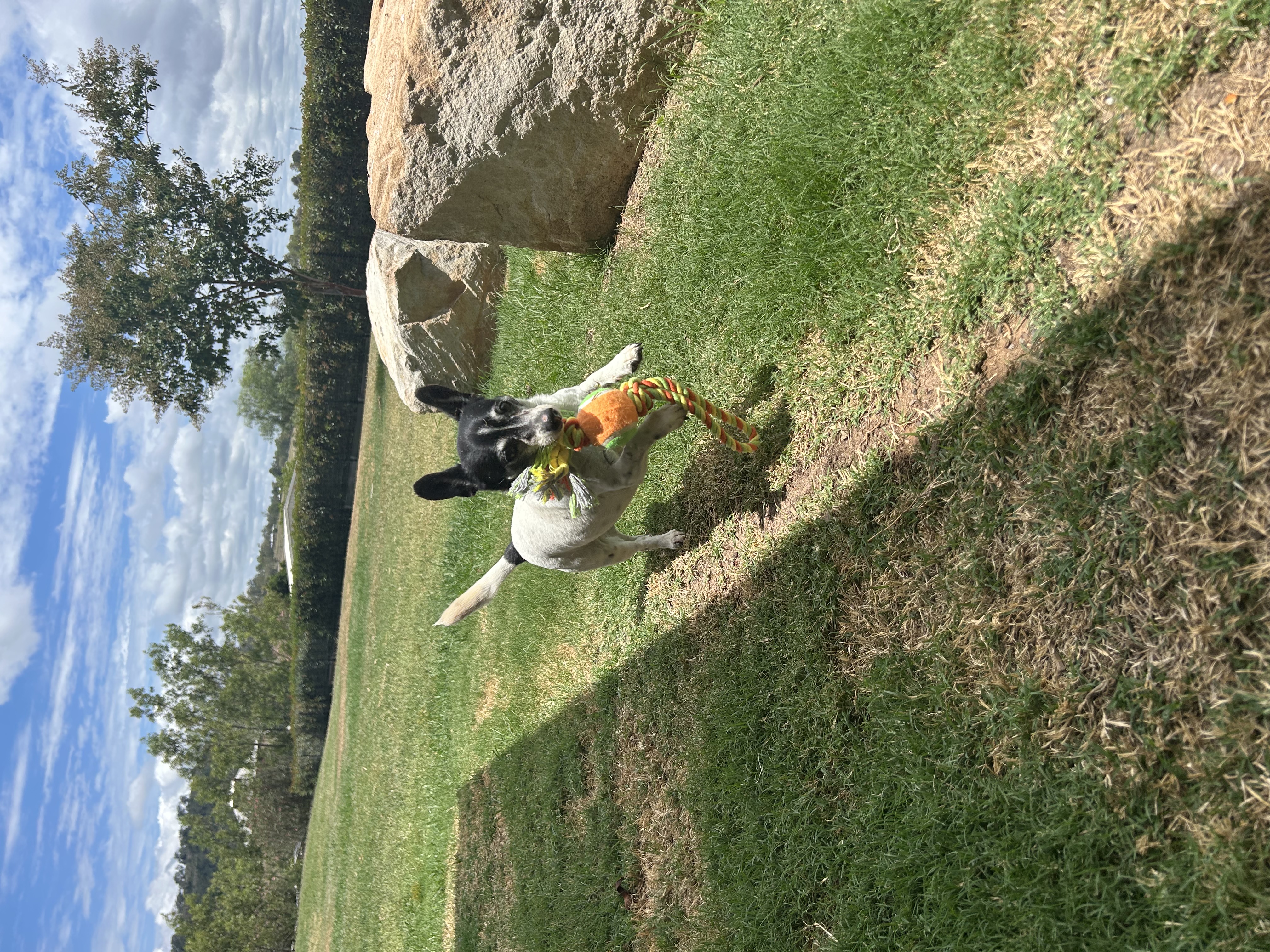 image-15
