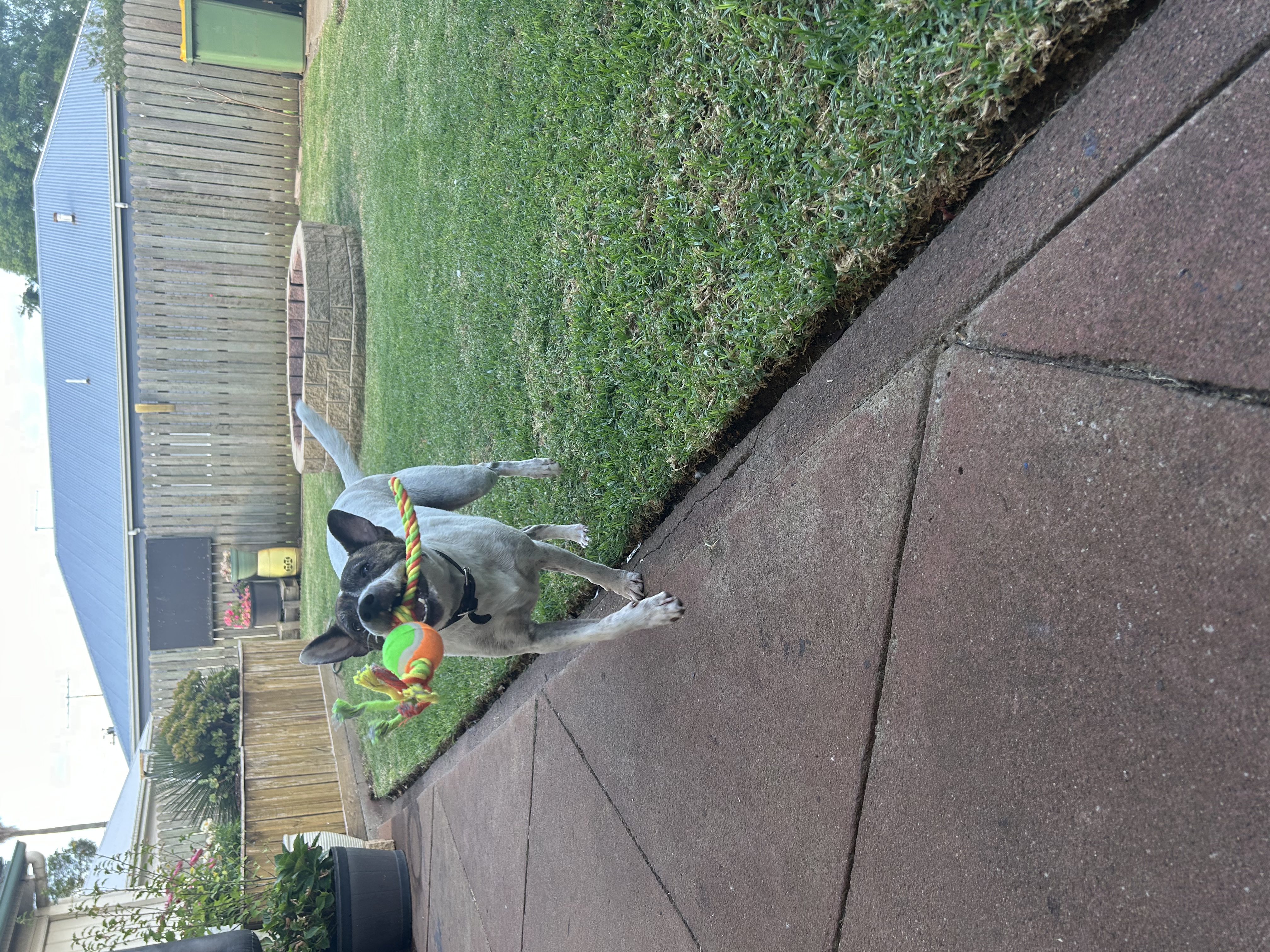 image-8