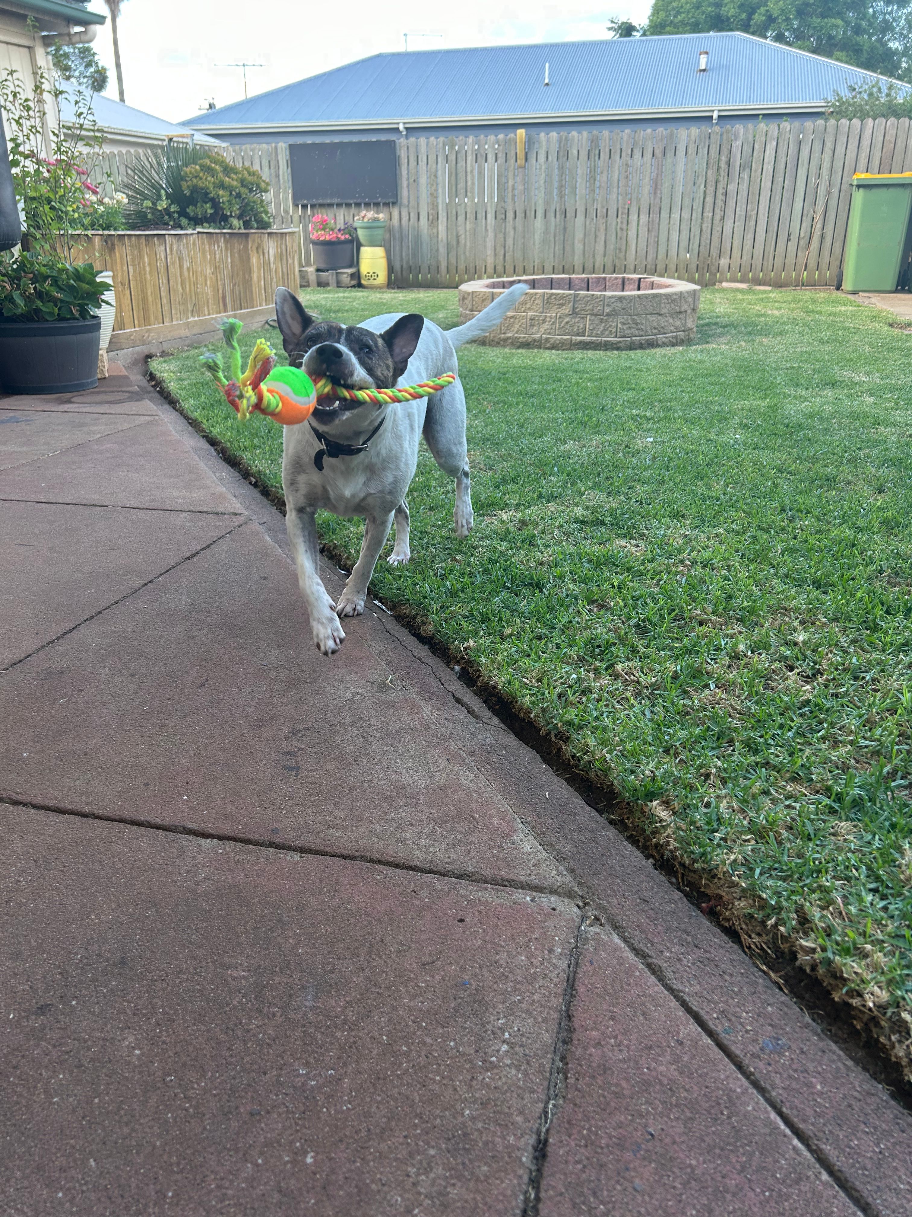 image-8