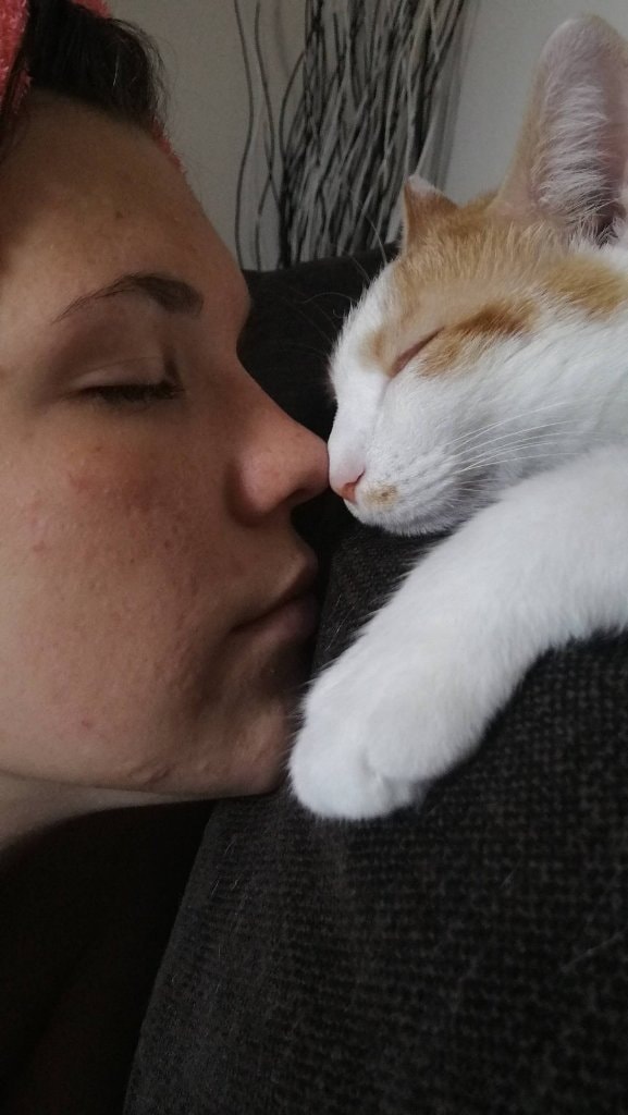 image-2