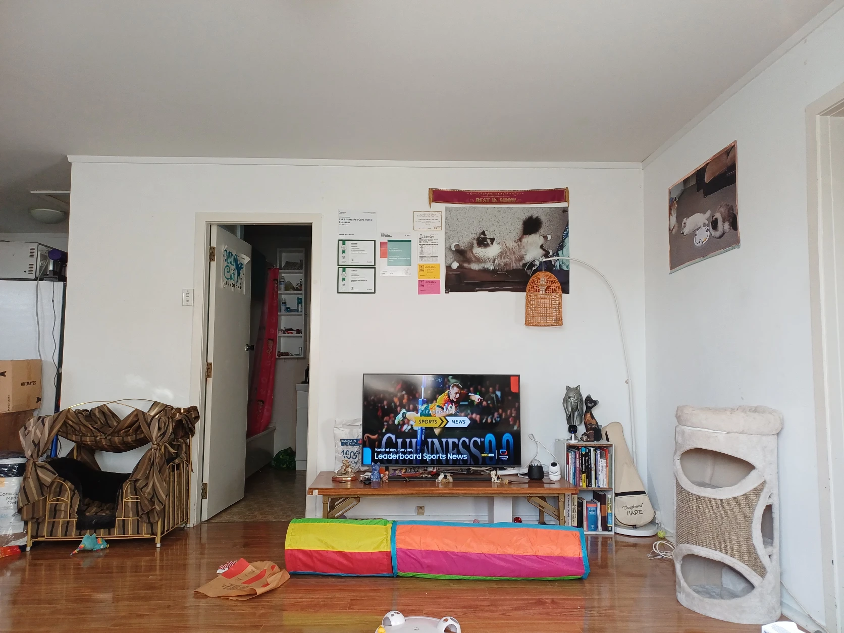 image-13
