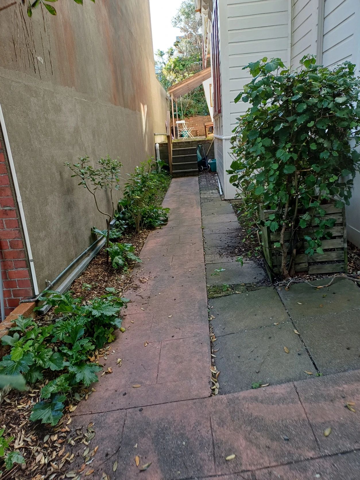 image-8